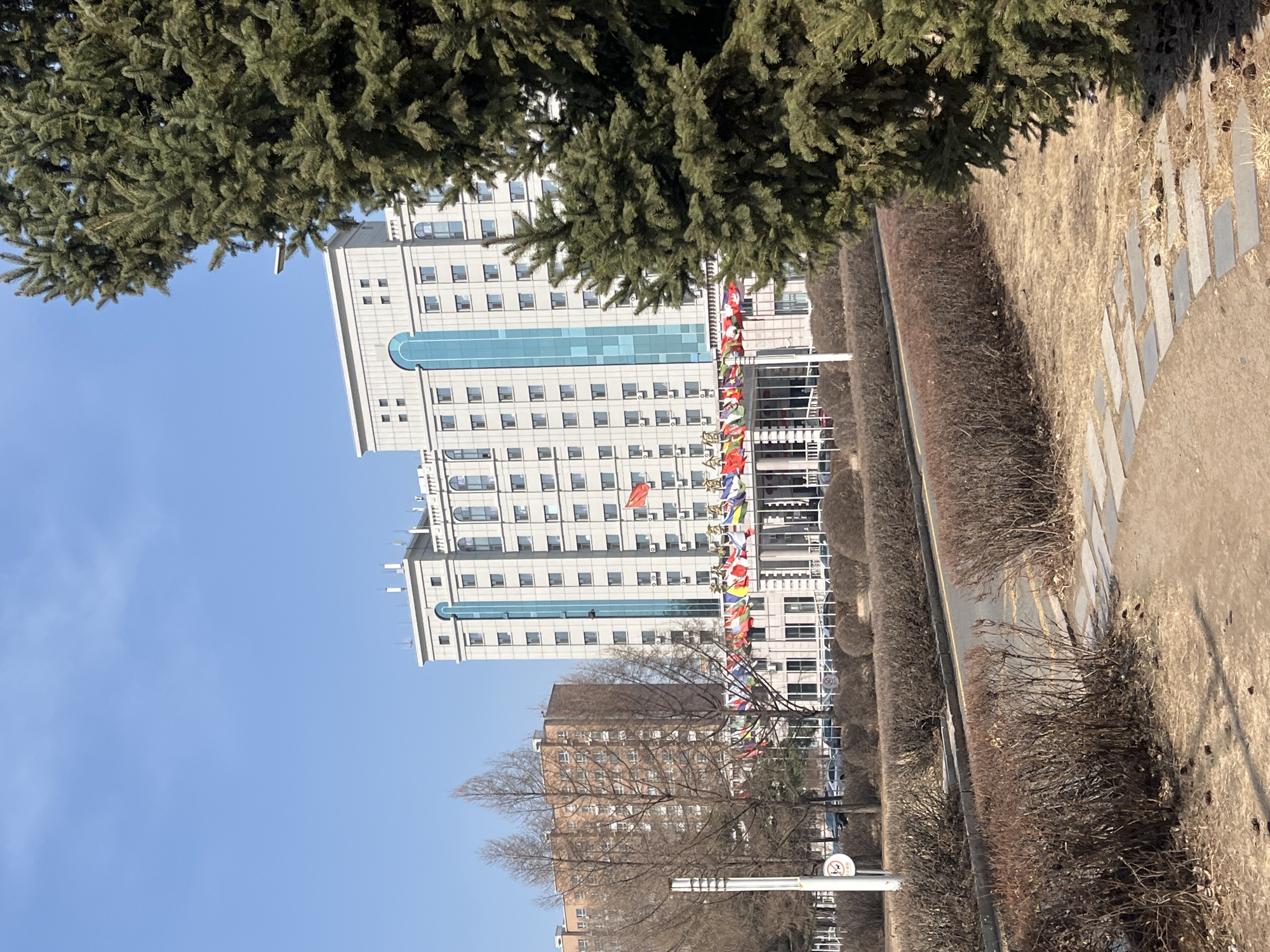 The image depicts a street scene in Changchun City, China, on a clear day. Dominating the view is a large, light-colored building with numerous windows and a blue accent. A row of flags from various countries hangs along the front of the building. A brown brick building is also visible behind it.
A walkway of rectangular stones borders a patch of dry, grassy ground. A line of bare bushes runs alongside the walkway. Bare trees are scattered throughout the scene. A streetlight with a "no smoking" symbol is located on the street.