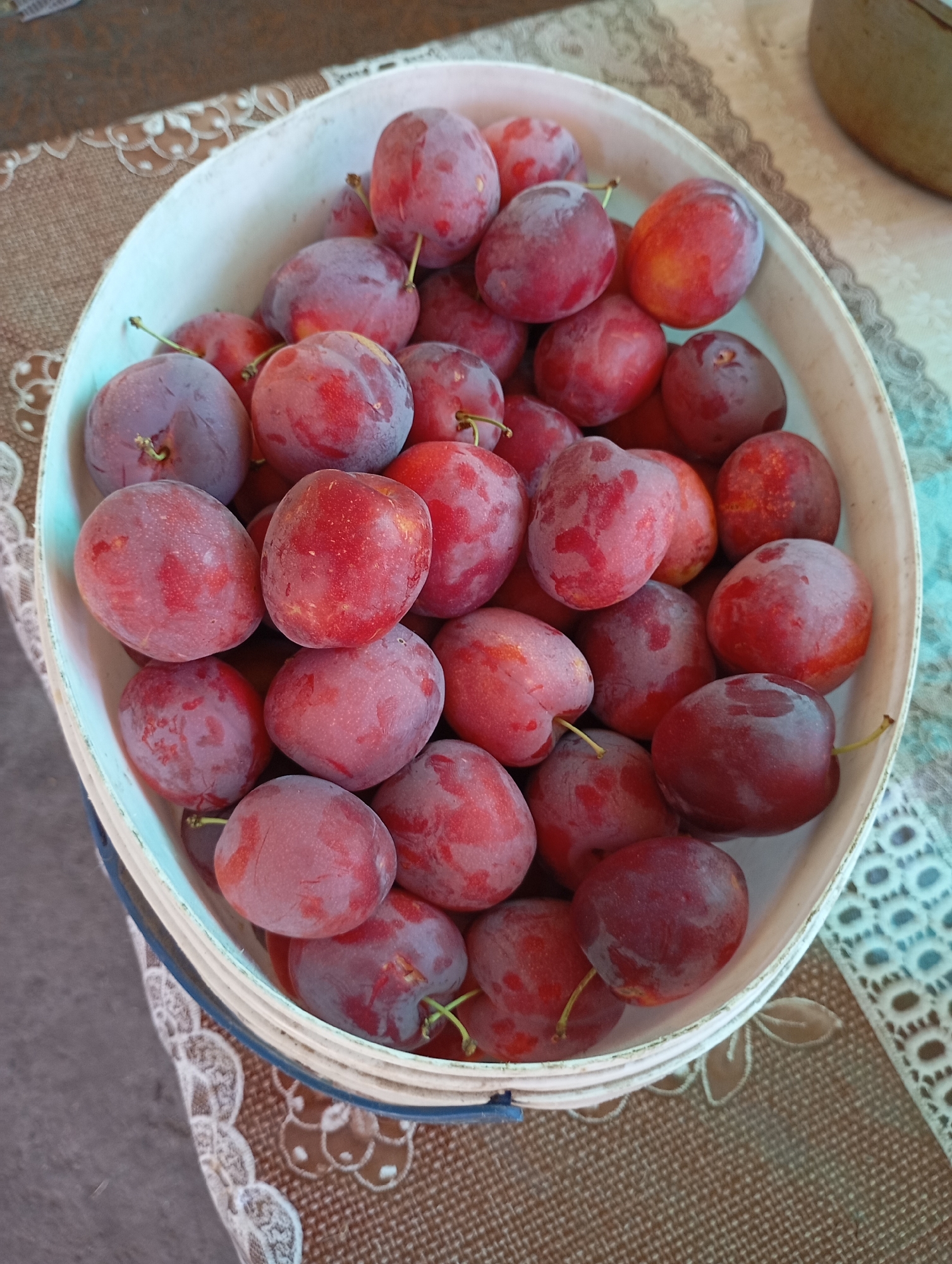 A close-up, eye-level shot captures a white plastic basin overflowing with ripe plums, resting on a patterned tablecloth. The plums are a mix of deep red and purple hues, with some exhibiting a slight powdery bloom. They are densely packed, with their stems visible on many of them. The tablecloth beneath has a brown and white patterned design, featuring lace-like accents. The background is blurred, suggesting an outdoor setting with a hint of grey concrete. The image was taken in Horishni Plavni, Ukraine. There are no people or animals present in the scene. The lighting appears to be natural daylight.