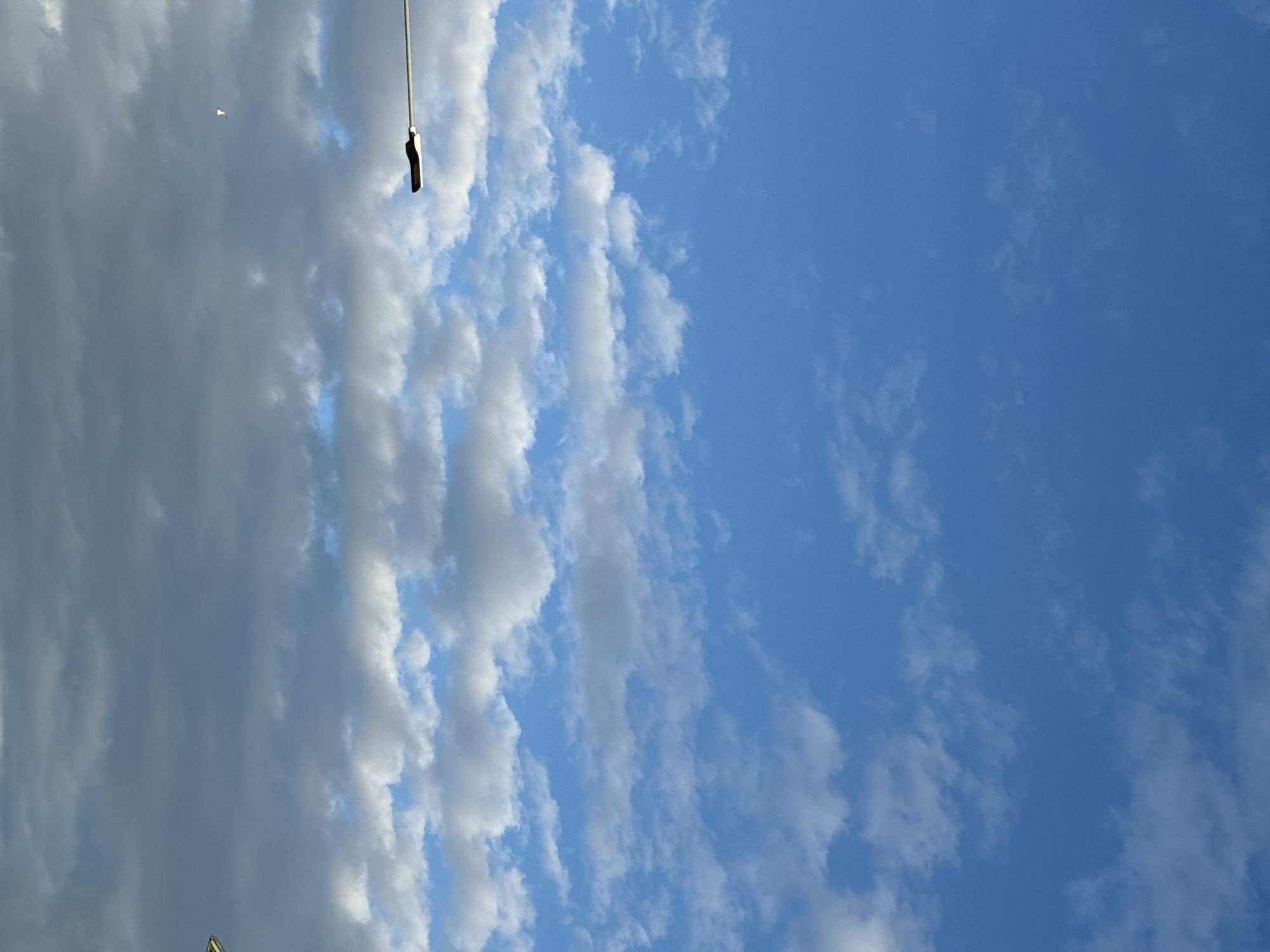 The image shows a wide shot of a cloudy sky with a clear blue expanse above. In the lower left quadrant, a streetlamp extends from the left edge of the frame horizontally, with its fixture pointing downwards and to the right. A small white bird is visible in the sky to the left of the streetlamp. The background is filled with scattered white and gray clouds. The bottom right edge of the image shows a hint of a green object, possibly another streetlamp or signpost. The scene is a general outdoor view of the sky, and there is no specific indication of the location within Haapsalu, Estonia.