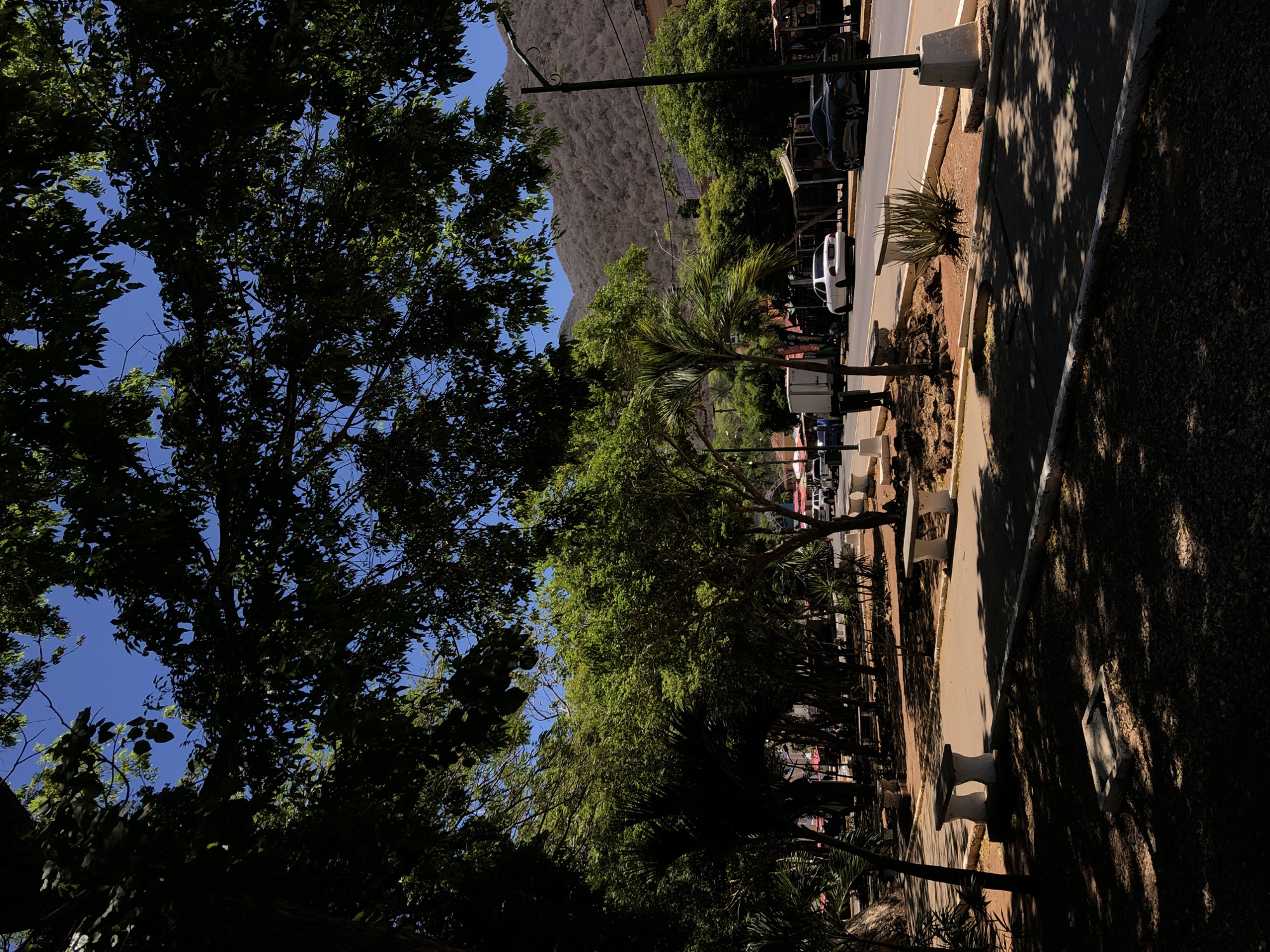This image, set in El Valle del Espíritu Santo, Venezuela, depicts a sunny daytime scene along a street or park area with a prominent mountain in the background. The photograph is oriented vertically, showcasing a towering green tree in the immediate foreground, its dense foliage creating a dark canopy against a bright, clear blue sky.
Beyond the foreground tree, a paved road or street runs horizontally through the midground. A sidewalk bordered by a strip of dry, reddish earth parallels the road. Along this strip, several green trees, including a distinct palm, and a few small shrubs are planted, casting long, defined shadows across the ground and sidewalk. Several white, concrete benches are visible along the path, one appearing to be part of a square planter. Parked cars, including a white sedan and a darker vehicle, line the far side of the road. Faint signs and structures of shops or buildings can be seen across the street, though any text is illegible due to distance and pixelation.
Dominating the background is a large, light-colored mountain or hill, covered in what appears to be sparse vegetation. The sunlight illuminates its slopes, giving it a somewhat arid or dusty appearance. The overall impression is one of a quiet, pleasant day in a warm, possibly tropical, location. No people are visible, and no specific activity or event is taking place, presenting a tranquil street scene.