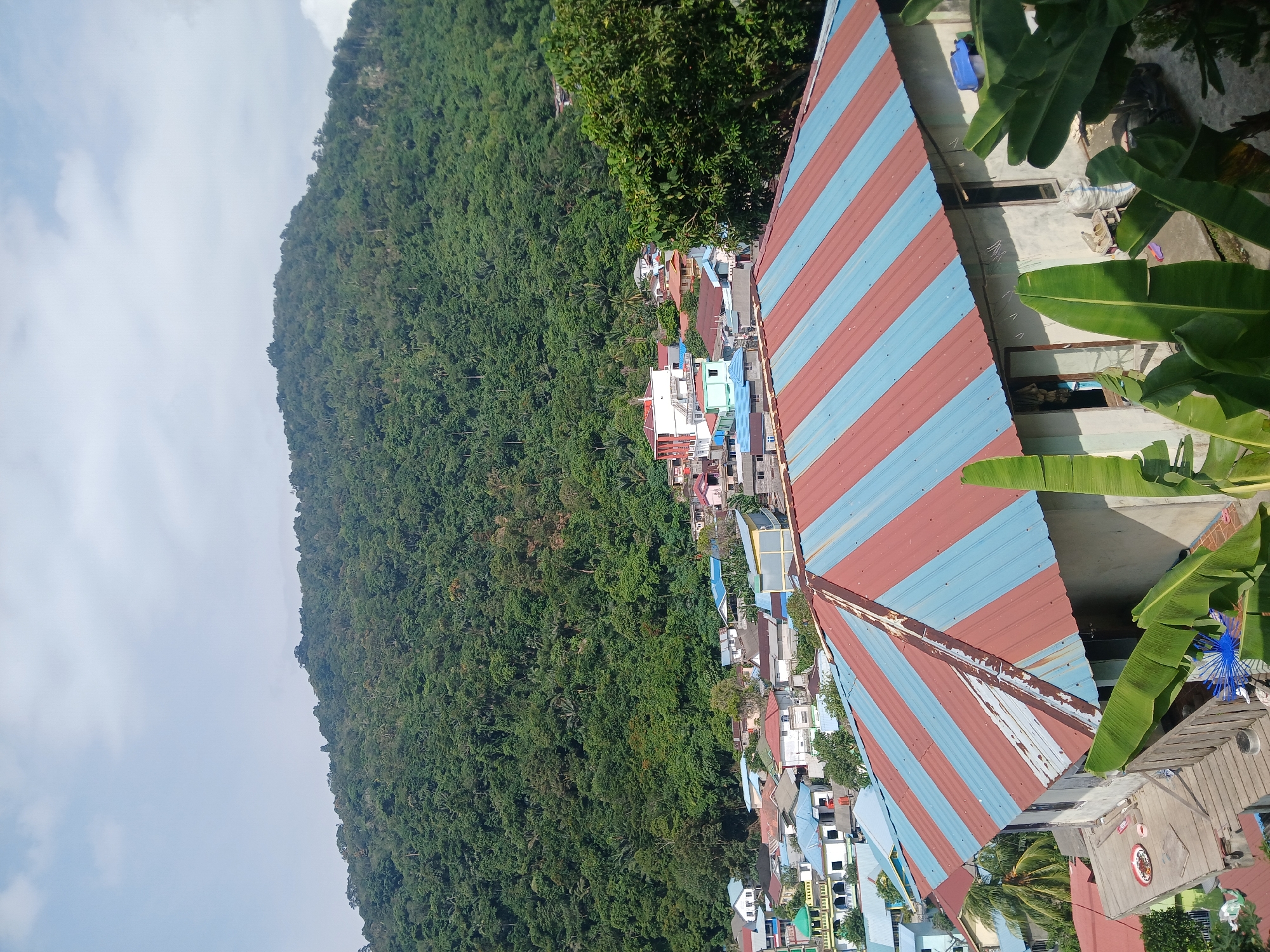 The image depicts a village nestled at the base of a lush, densely forested mountain. The foreground features a house with a corrugated metal roof painted in alternating red and blue stripes. Banana plants with large green leaves are visible in front of the house, obscuring some of its lower sections. In the mid-ground, a collection of houses with various colored roofs and walls are clustered together, suggesting a residential area. The houses are built close to each other, with some showing signs of age or wear. Beyond the village, the mountain slopes are covered in thick, verdant vegetation, indicating a tropical environment. The sky above is partly cloudy with a bright, clear expanse in the upper left corner. The overall scene suggests a rural or semi-rural setting in a tropical region, likely in or around Terempa, Indonesia, given the architectural styles and the presence of dense jungle. There are no people clearly visible in the image.