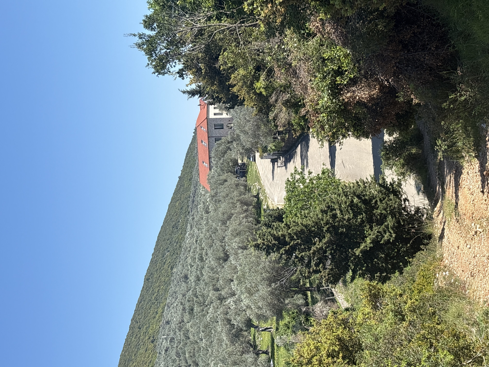 The image depicts a road leading to a building with a red roof, located in Bratica - Braticë, Montenegro. The road ascends a hill covered with olive trees. The sky is clear and blue. Vegetation lines the sides of the road.