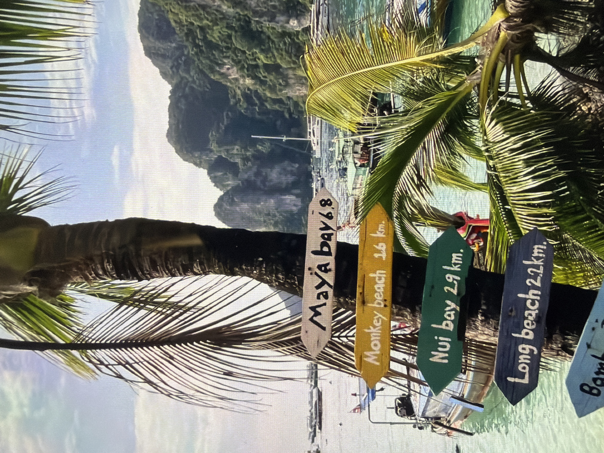 The image displays a vibrant tropical coastal scene, seen from a slightly elevated perspective. A prominent palm tree dominates the left side of the frame, with its textured trunk and lush green fronds extending outwards. Nailing into the palm tree are several colorful, rustic wooden directional signs.
From top to bottom, the visible signs read:
- A white sign pointing right: "Maya bay 6.8" (likely 6.8 km)
- A yellow sign pointing right: "Monkey beach 1.6 km."
- A green sign pointing right: "Nui bay 2.9 km."
- A dark blue sign pointing right: "Long beach 2.2km."
- A partially visible light blue sign at the bottom appears to start with "Bowl" (possibly part of "Bamboo" or a similar word).
In the background, a serene body of turquoise and emerald green water is dotted with numerous small boats, some appearing to be traditional longtail boats, commonly found in Southeast Asia. Beyond the water, towering limestone karsts or mountains, covered in dense green vegetation, rise dramatically into a clear, bright blue sky with scattered light clouds. The sun appears to be shining, indicating a beautiful, sunny day.
The scene suggests a popular tourist destination, offering boat trips or directing visitors to various beaches and bays. The visible place names like "Maya Bay" and the distinct geography strongly indicate a location in Southeast Asia, such as the Phi Phi Islands in Thailand, rather than Lovech, Bulgaria.