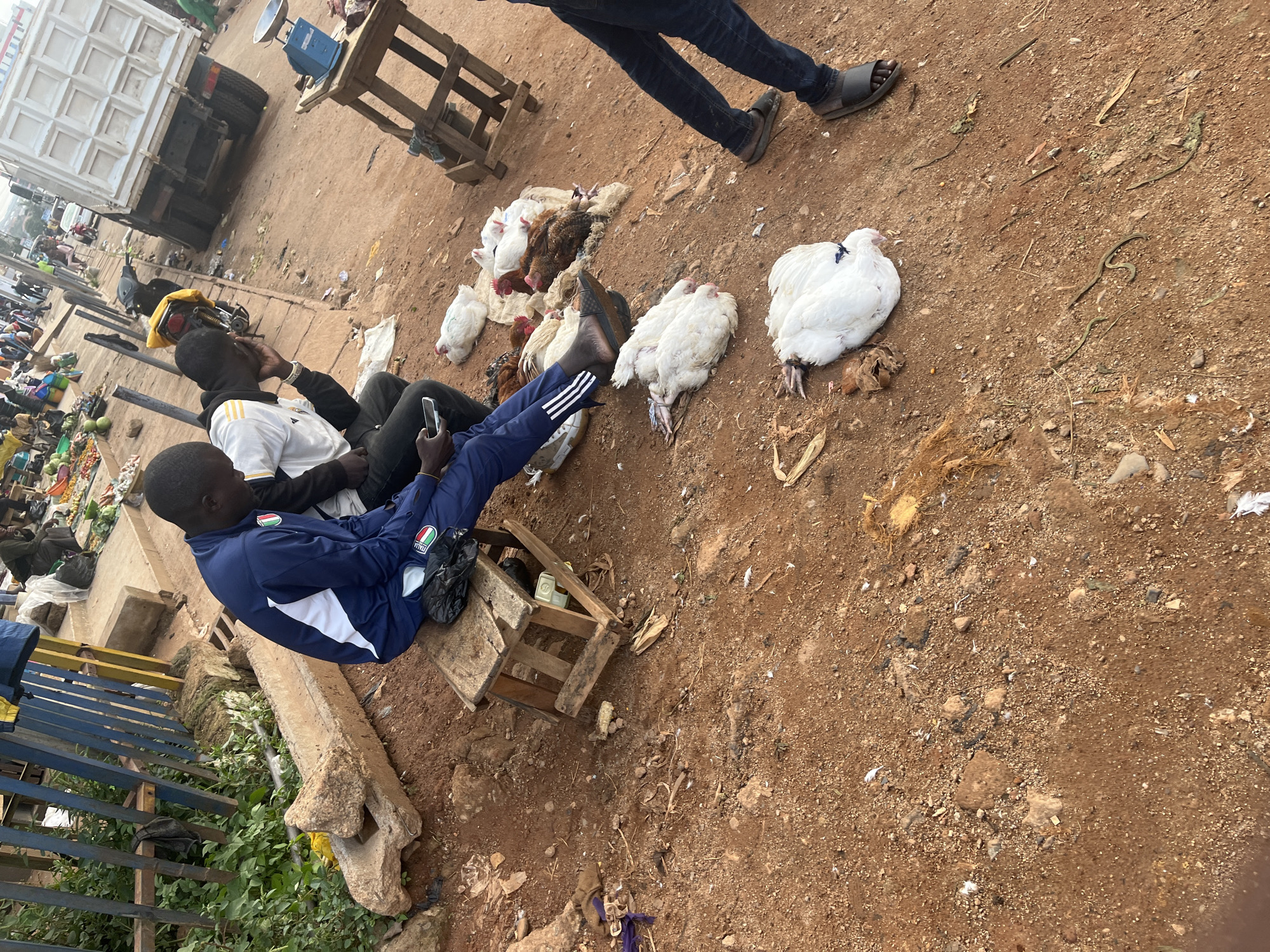 The image depicts an outdoor market scene in Jos, Nigeria. In the foreground, several dead chickens are laid out on the reddish-brown dirt ground, some appearing to be whole and prepared for sale. Two young men are seated on a wooden stool and the ground, with one man wearing a blue tracksuit and the other a white and black jacket. The man in the blue tracksuit is looking down at a mobile phone, while the other man has his hand to his face, appearing to be in thought or conversation. Behind them, various market stalls and people can be seen, as well as a large white truck parked on the side of the road. The environment appears to be dusty and unpaved, typical of many market areas in Jos.