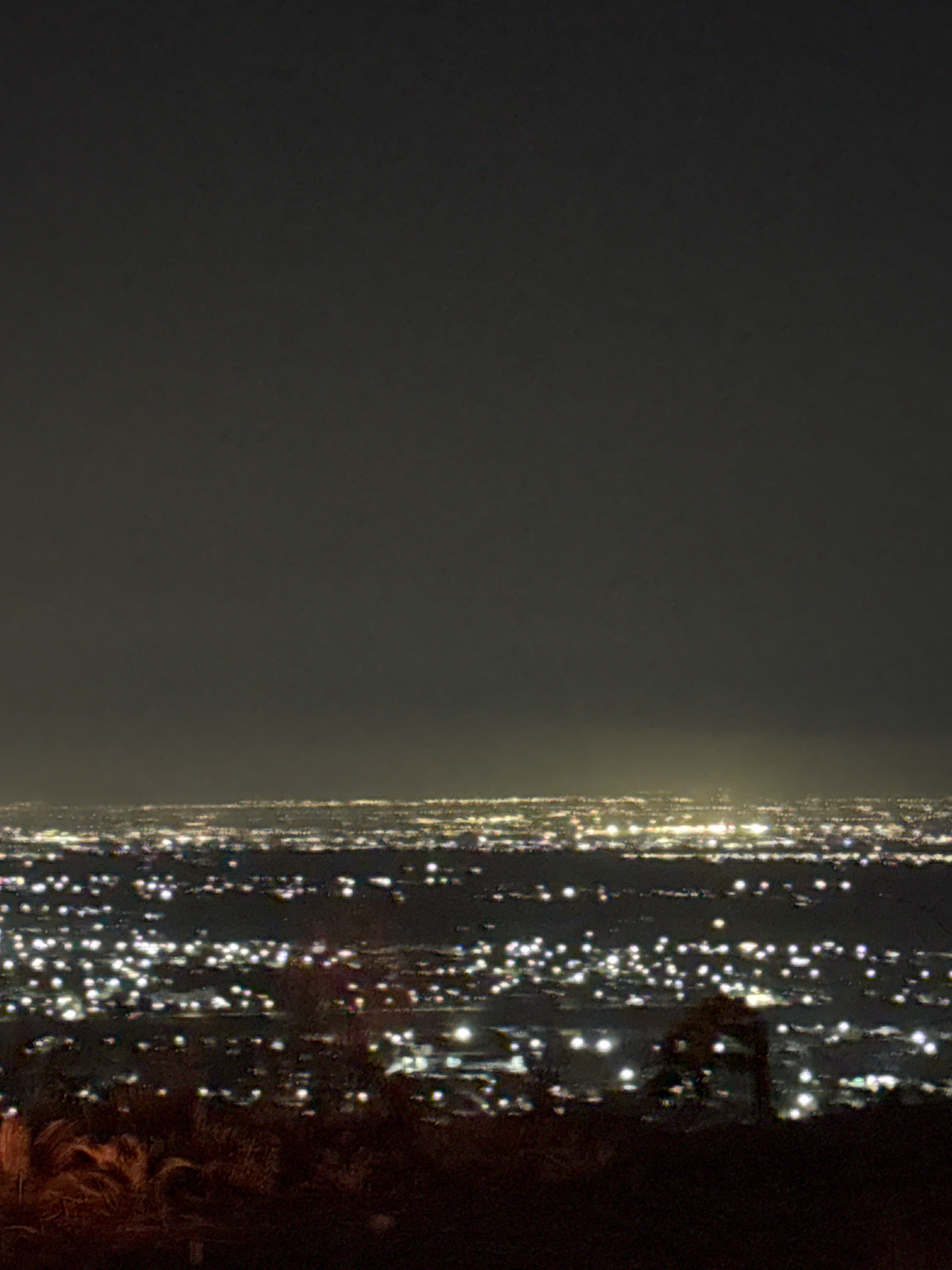 An atmospheric nighttime aerial view showcases the sprawling city lights of Talgar, Kazakhstan, under a dark, overcast sky. The urban landscape is a dense tapestry of illuminated buildings, their lights forming a hazy, glowing blanket that stretches towards the horizon. The foreground is dominated by the silhouetted forms of vegetation, including what appear to be tall grasses or reeds, adding a natural element to the urban vista. The city lights are scattered and varied, suggesting a mix of residential, commercial, and industrial areas. The overall impression is one of a vast, sleeping city illuminated by its own artificial glow against the backdrop of a quiet night.