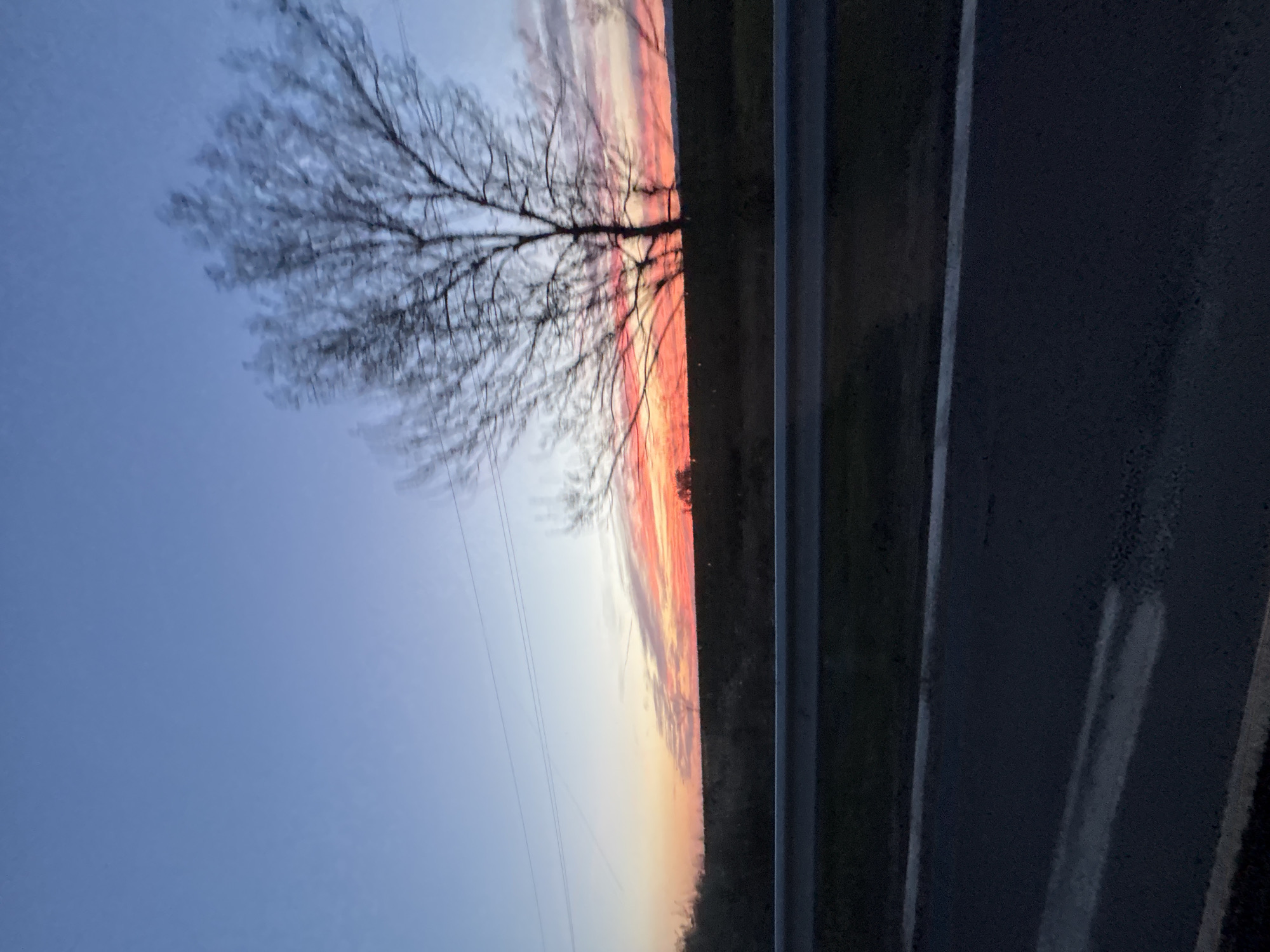 The image depicts a roadside scene at dusk, possibly in Burgas, Bulgaria. A bare tree stands against a colorful sky transitioning from blue to orange and red hues. The right side of the frame features a road with a gray guardrail and dark pavement. No people are visible in the frame. The environment suggests a rural or suburban location, with the focus on the natural elements of the sunset and the tree. The presence of power lines in the sky hints at human infrastructure in the area.