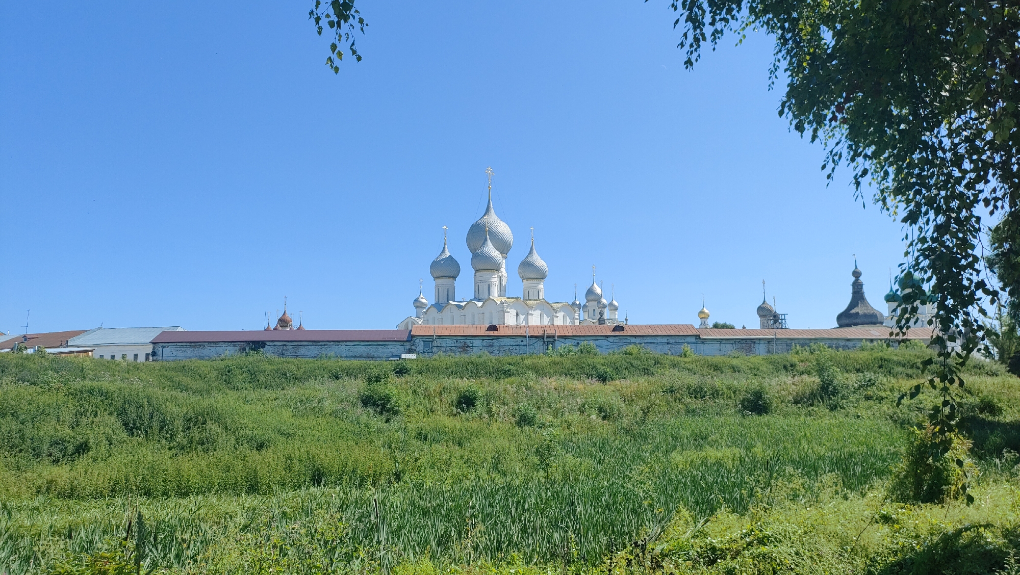 An eye-level, wide shot captures a sunlit, distant view of the Rostov Kremlin in the city of Rostov, Russia, on a clear, bright day with a vast expanse of blue sky. The Kremlin, a historical architectural complex, stands prominently on a grassy hill, its white walls and numerous silver domes forming a striking silhouette against the sky. A stone wall with a reddish-brown tiled roof encircles the complex. The foreground is dominated by a lush, verdant meadow teeming with various green plants, including tall reeds near the bottom of the frame. Foliage from a nearby tree, with light green leaves, partially obscures the upper right corner of the image, casting subtle shadows. No people or animals are visible in the frame. The overall scene is one of peaceful, historic grandeur set amidst a natural landscape.