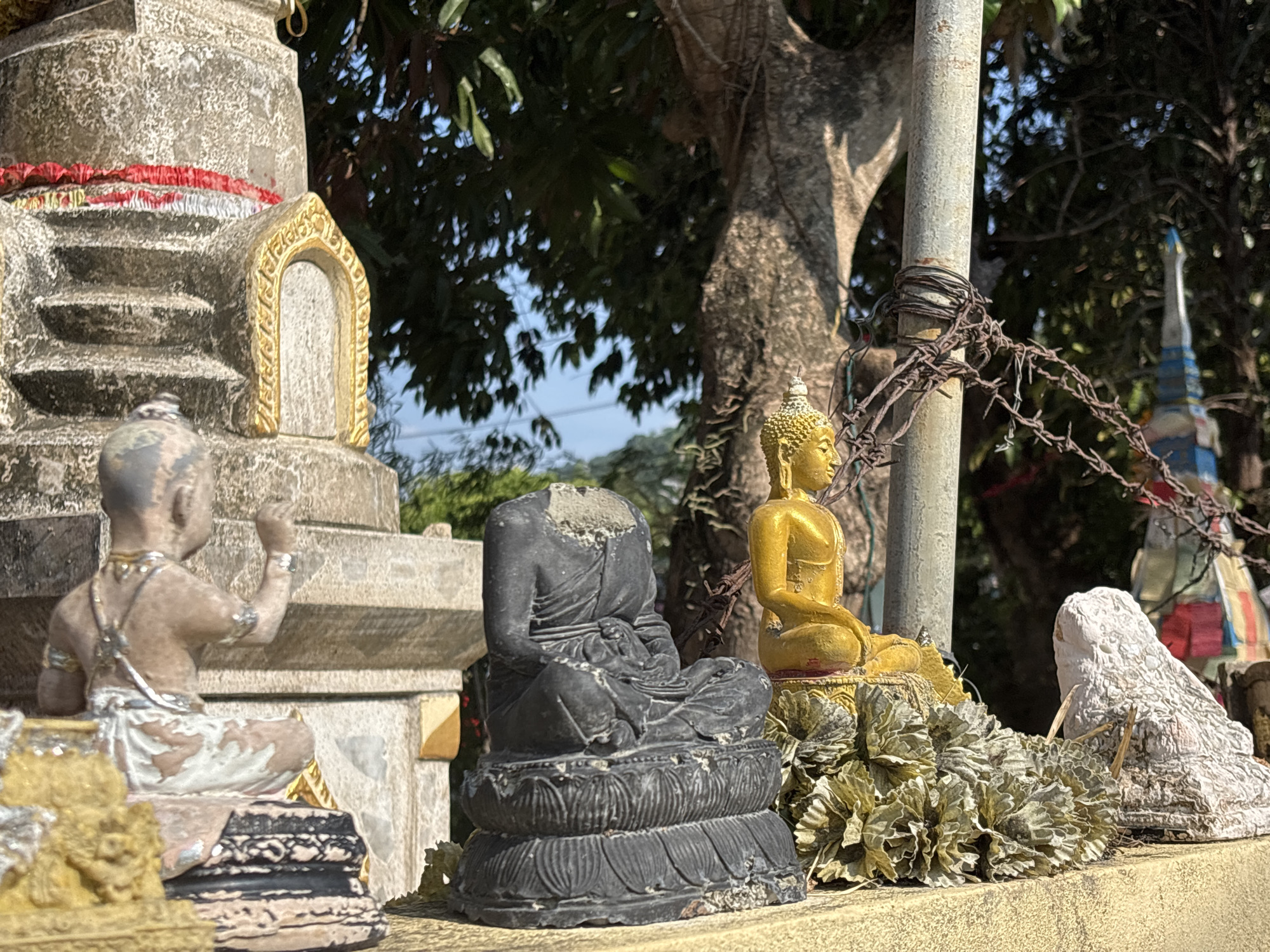 This outdoor scene in Choeng Thale, Thailand, showcases a collection of Buddhist statues and structures under bright, sunny daylight.
In the foreground, several figures are arranged on a light-colored ledge. On the left, a light-colored statue of a young, seated figure, possibly a novice monk or Arahant, has one arm raised and features subtle gold and silver accents on its garments and jewelry. Next to it, a dark gray or black Buddha statue sits in a meditative pose on a multi-tiered lotus base, notably missing its head. To its right, a golden Buddha statue, also seated in meditation, is prominently displayed on a golden pedestal, partially surrounded by garlands of dried, light-colored foliage.
Behind these statues, on the far left, a weathered concrete or stone stupa-like structure is adorned with red and white fabric or ribbons, and features a small golden arched niche. A prominent, slender pole, wrapped with rusted barbed wire, stands behind the golden Buddha, extending upwards. This pole is situated in front of a large tree trunk with rough bark and green foliage, which dominates the mid-ground. Further in the background, a colorful, multi-tiered spire structure, typical of temple architecture, is partially visible on the right. The sky is clear, indicating a sunny day, likely mid-morning or afternoon, casting defined shadows. No visible text is present in the image.