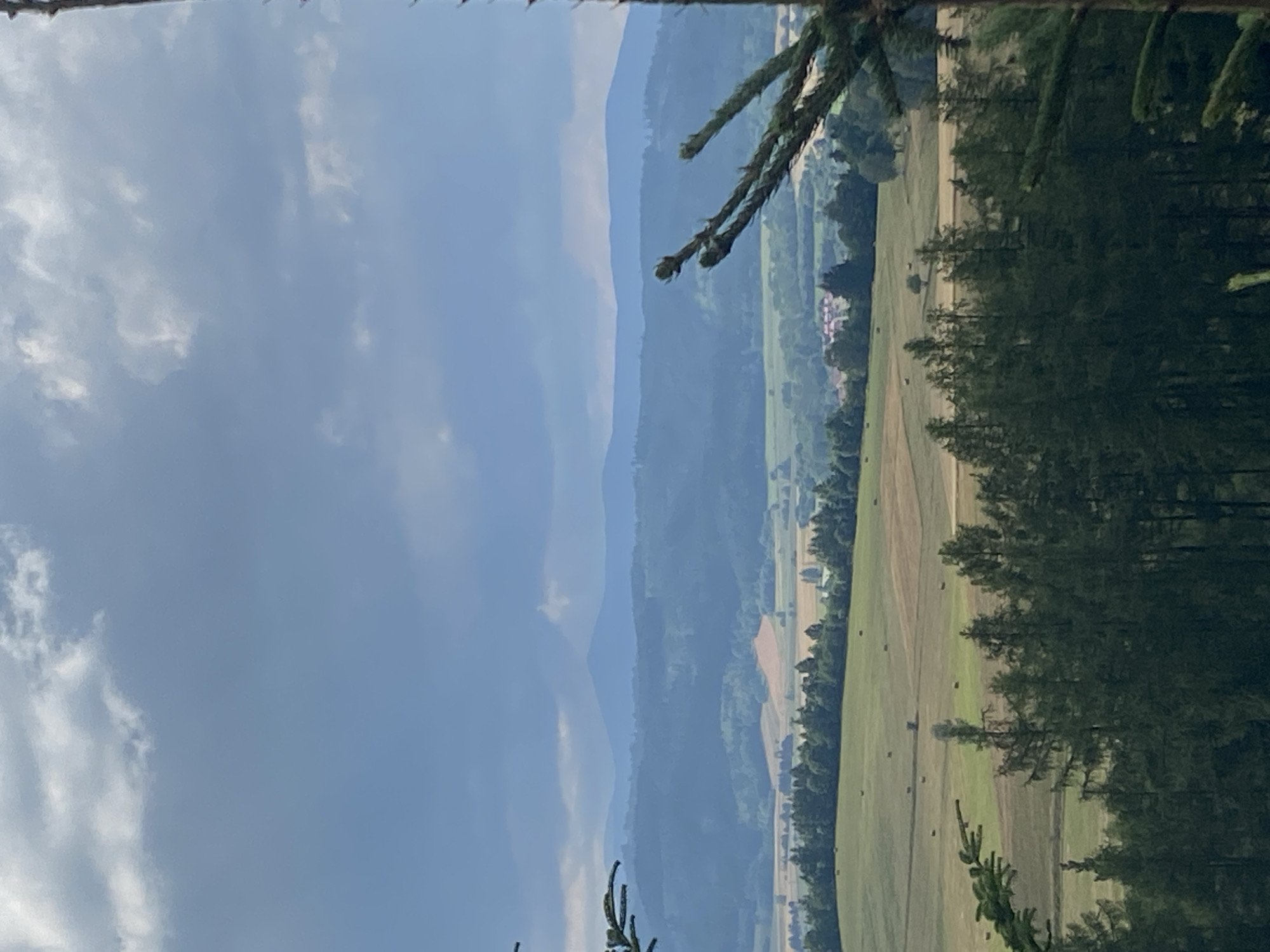 The image depicts a wide, scenic landscape with layers of hills receding into the distance. In the foreground, a dark green forest of coniferous trees dominates the bottom of the frame, with branches of a pine tree jutting in from the right side, partially obscuring the view. Beyond the forest, rolling fields of green and tan are visible, with scattered hay bales dotting the landscape. Further in the distance, more wooded hills are layered, their colors muted by atmospheric haze. The furthest hills appear as faint blue silhouettes against a cloudy, overcast sky. A small village with red-tiled roofs is nestled in the valley between the fields and the distant hills. The overall impression is of a rural, natural setting under a dramatic sky. The location is identified as Chełmsko Śląskie, Poland. There are no people or animals visible in the image, and no specific actions are taking place. The scene is static and natural.
