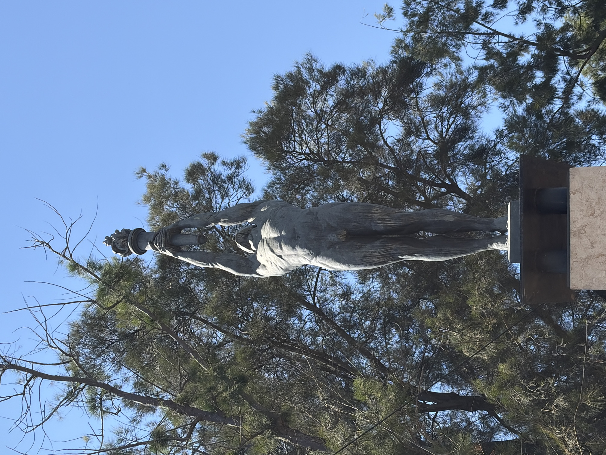 The image shows a statue from a low angle, looking up towards the sky. The statue is a bronze sculpture of a male figure, nude except for a crown-like headpiece. The statue is mounted on a concrete pedestal with additional metal supports. The statue appears to be emerging from, or positioned among, trees with needle-like leaves. The sky is clear and blue. The location is likely the "Homenatge a la natació" sculpture in Barcelona, Spain. The statue depicts a male swimmer.