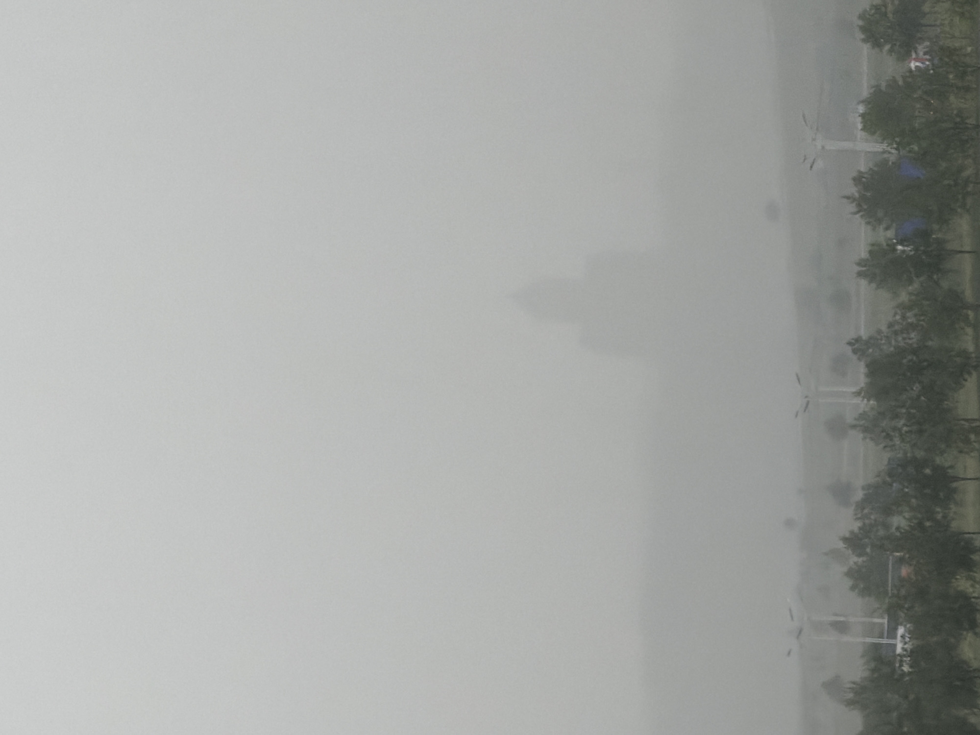 The image depicts a scene in heavy fog or rain, obscuring visibility. In the distance, a faint silhouette suggests the presence of buildings or structures. A row of trees lines the right side of the frame, with objects resembling light poles or structures visible amongst the trees. Based on the cityscape silhouette and the presence of specific structures, the location might be Tbilisi, Georgia. The weather conditions appear to be severe, limiting detail and clarity.