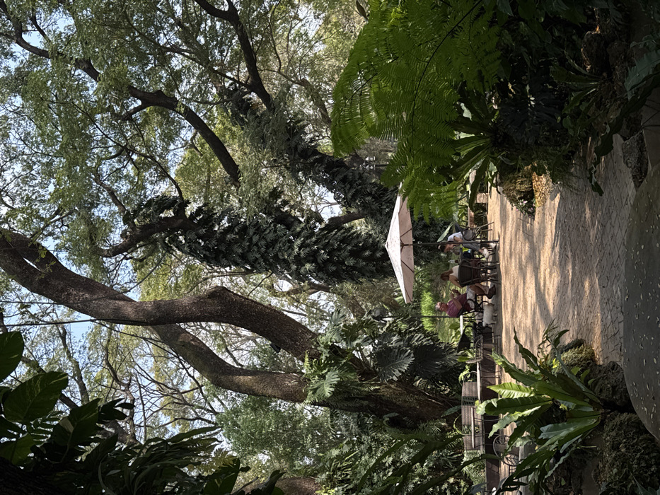 A sunlit outdoor cafe is nestled amidst lush greenery, including large trees and ferns. People sit at tables under a white umbrella. The cafe area is paved with patterned tiles. The scene conveys a peaceful, natural ambiance.