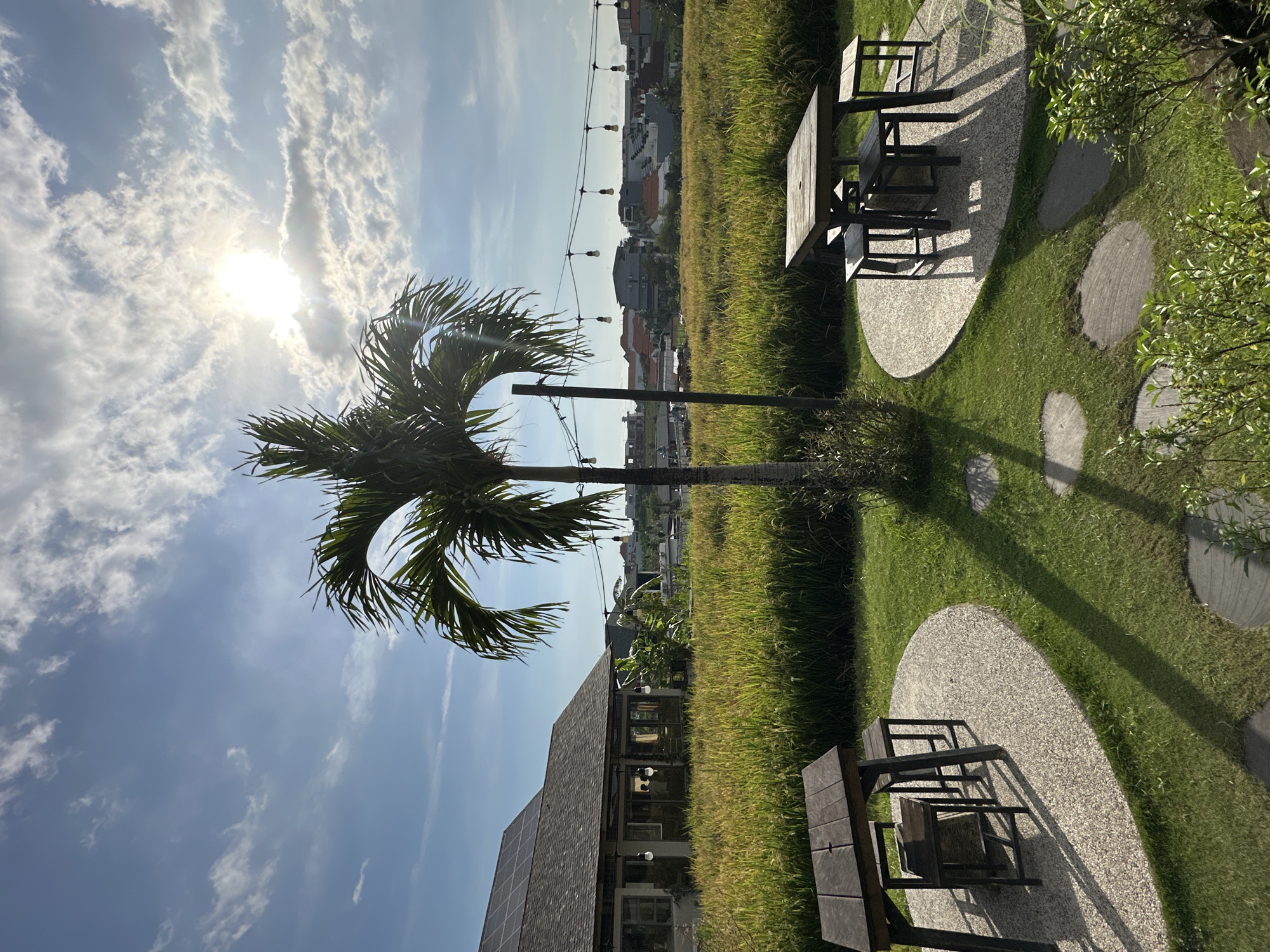 The image captures an outdoor scene in North Kuta, Indonesia, featuring a palm tree, vegetation, and seating areas. The sky, predominantly blue with scattered clouds, is illuminated by the sun. A palm tree stands prominently, casting a shadow on the ground. The surrounding area consists of green grass, dense yellowed vegetation and buildings in the background, interspersed with string lights suspended overhead. Two circular gravel areas with picnic tables and chairs are visible. The photo also reveals a building with a solar panel-covered roof.