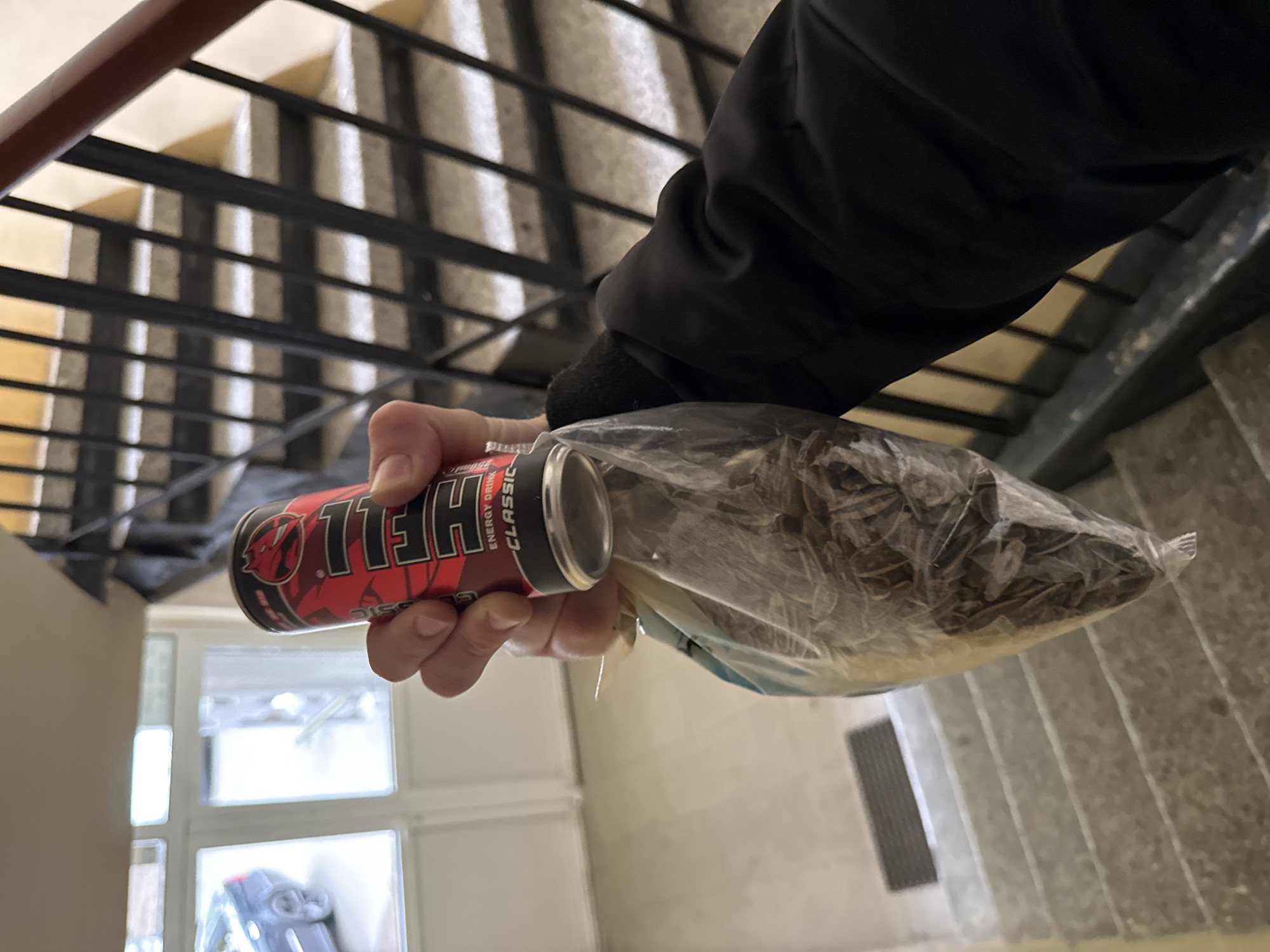 A close-up, eye-level shot shows a person's right hand holding an energy drink can and a clear plastic bag filled with seeds, likely sunflower seeds. The person is wearing a dark-colored jacket or sleeve.
The energy drink can is predominantly red and black, with the brand name "HELL" prominently displayed in white, stylized letters. Below the brand name, the words "ENERGY DRINK" and "CLASSIC" are visible. A red devil head logo is also present on the can.
The setting appears to be an indoor stairwell or staircase, possibly within a residential or public building in Stara Zagora, Bulgaria. The background features light-colored walls and concrete or stone steps that ascend upwards to the right. Dark metal railings form a grid pattern, indicating multiple flights of stairs. Natural light enters the space from windows visible at the bottom of the stairs, suggesting it is daytime. A dark rectangular doormat is faintly visible on a landing at the bottom. The overall impression is that of someone carrying snacks while navigating an interior stairway.