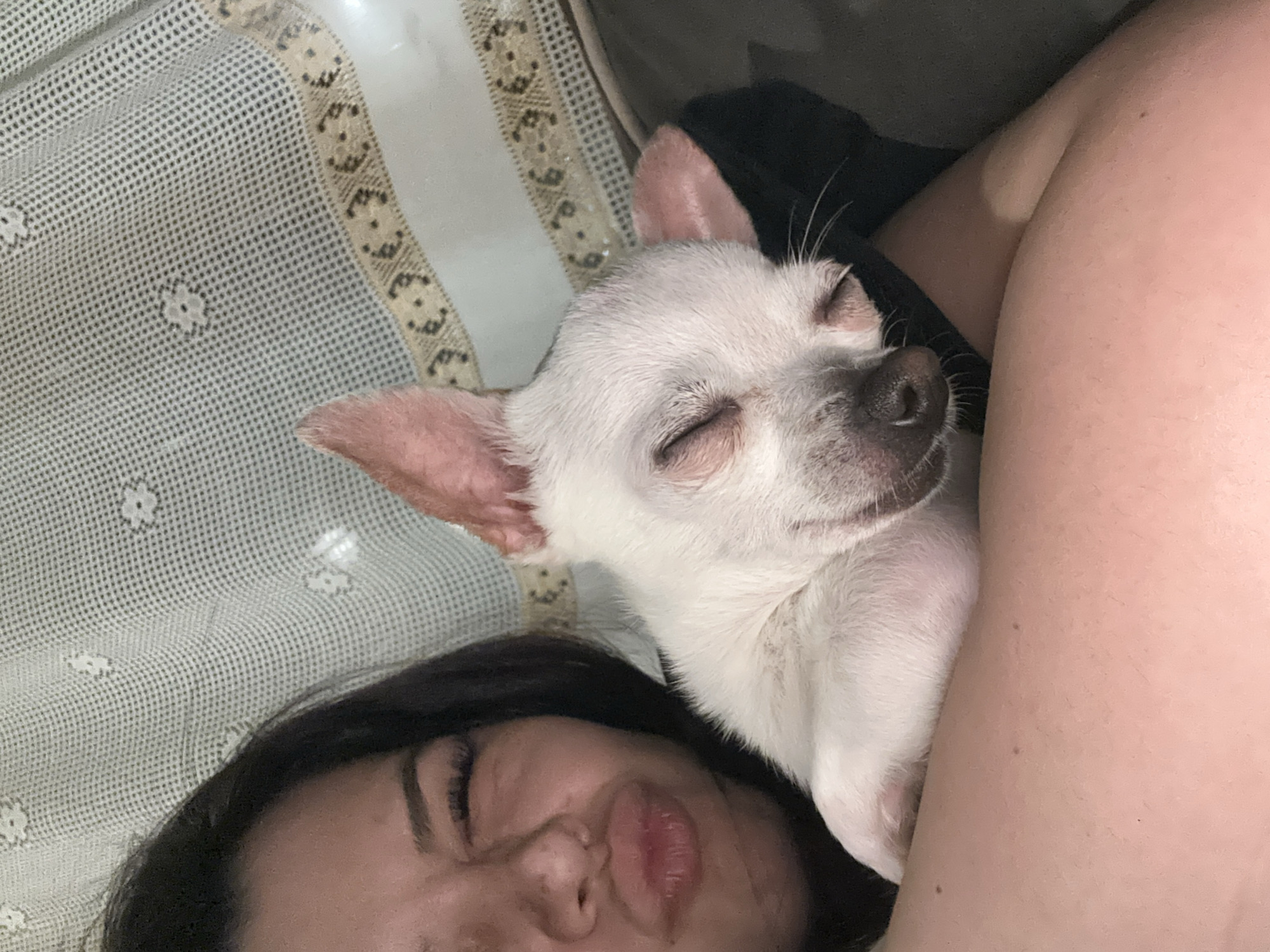 A close-up indoor shot shows a person and a chihuahua dog. The person lies down with dark hair and closed eyes, and full lips are visible. The chihuahua, predominantly white with pinkish ears, is nestled against the person. The dog also has its eyes closed. The background features a patterned fabric, likely a bedspread or blanket. The photograph does not depict any features associated with the city of Chubra, Bulgaria.