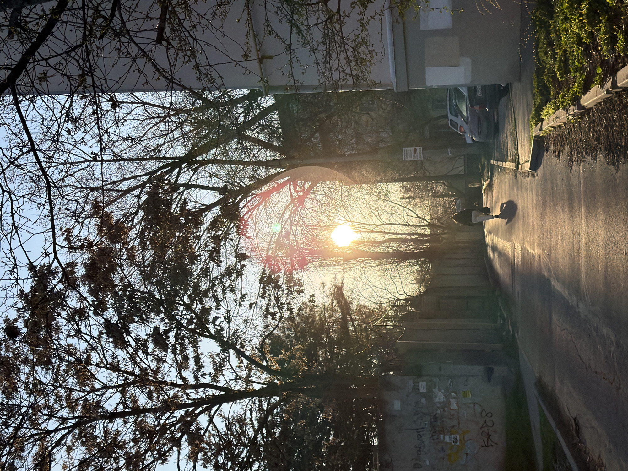 Captured from a high vantage point, the image presents a sunlit street scene, viewed between the eaves of buildings and through a canopy of trees. The location is suggested as Rostov-on-Don, Russia. The sun is positioned centrally in the distance, its light filtered through bare tree branches. Below, a street scene unfolds, with the silhouette of at least one pedestrian visible, casting a long shadow. A parked car is seen on the right-hand side of the street. The pavement is lined with vegetation and a concrete wall. Graffiti is visible on the lower left.