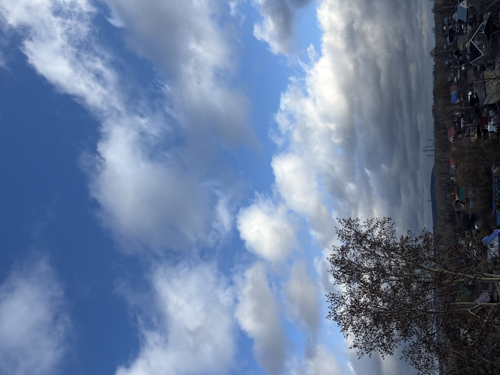 This image captures a vibrant and changing sky over a semi-urban or rural landscape in Chaikovsky, Russia. The sky dominates the upper portion, featuring a striking contrast between bright blue patches with scattered white, cumulus clouds on the left, and a large expanse of heavy, dark grey clouds on the right. Sunlight appears to illuminate the edges of the white clouds, creating a sense of depth and movement.
In the lower right corner, a deciduous tree with bare, dark branches and twigs is prominently featured, silhouetted against the brighter sky. Its intricate branching pattern suggests late autumn or early spring, as no lush foliage is present. Below the horizon line, a collection of residential buildings with various colored roofs (grey, blue, dark) stretches across the midground. These houses are interspersed with dormant trees and vegetation, reinforcing the seasonal hint.
In the far distance, under the darker clouds, a line of dark, possibly forested, hills or mountains is visible. Several thin structures resembling power line towers can be faintly seen cutting across the landscape between the houses and the distant hills. The overall scene depicts a transitional weather day over a quiet settlement. No people or visible text are present.