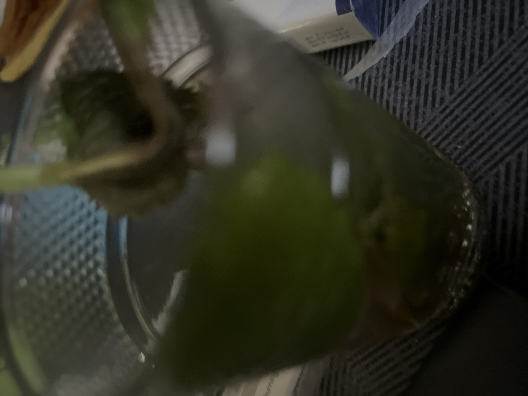 The image, captured in Casablanca, Morocco, presents a blurry, top-down view of a clear glass containing green plant material immersed in a liquid. The glass rests on a dark, textured surface, possibly a woven mat, which exhibits a repeating striped pattern of dark and lighter linear elements. Within the glass, several indistinct green stems and leaves are visible, some submerged and others extending above the liquid line. The upper portion of the plant material includes a curled leaf. The background, largely out of focus, reveals a textured, possibly metallic, surface with a grid of small indentations in the upper left. To the right, a blurry yellow-brown object is present, along with a white rectangular object displaying faint dark text. Below the white object, a small blue item is partially visible. No individuals are depicted in the scene, which appears to be an indoor setting under ambient lighting conditions.