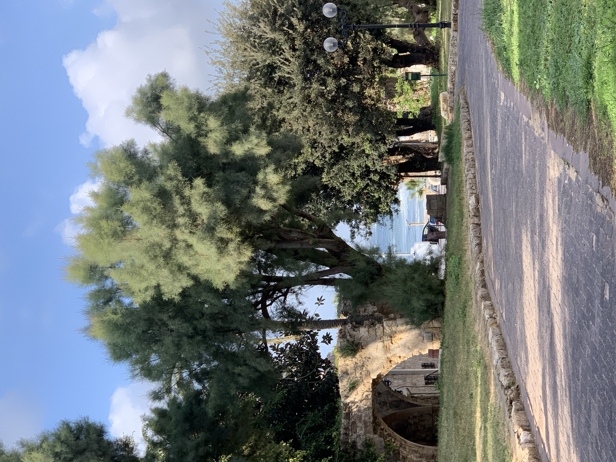 The image displays a sunlit park area in Old Jaffa, Tel-Aviv, Israel, offering a partial view of the Mediterranean Sea. A dark-toned, brick-patterned pathway, edged with a rough stone curb, curves from the lower left through sparse green grass. To the left, an aged stone structure featuring two prominent arched openings is partially visible, its stonework illuminated by direct sunlight. Multiple mature trees, including light green feathery-leaved varieties and darker green broadleaf trees, dominate the midground, framing the scene. A single palm tree trunk is visible behind the stone arches. In the background, calm blue sea water is discernible through a gap in the foliage, beneath a bright blue sky dotted with scattered white cumulus clouds. On the far right, a black metal streetlight with two spherical luminaires and a green waste receptacle are partially present. No human figures, animals, or discernible actions are depicted.