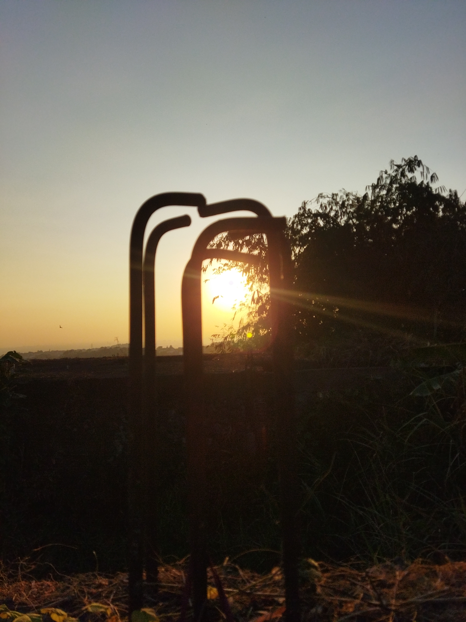 The image captures a sunset in Semarang, Indonesia, with the sun's rays piercing through the foliage of a tree. In the foreground, a silhouetted object, possibly part of a farming tool or structure, frames the scene. The sky transitions from a soft yellow near the horizon to a pale blue overhead. In the middle ground, a bird is seen in flight against the backdrop of a distant landscape. The overall impression is one of a serene rural or semi-rural setting at dusk.