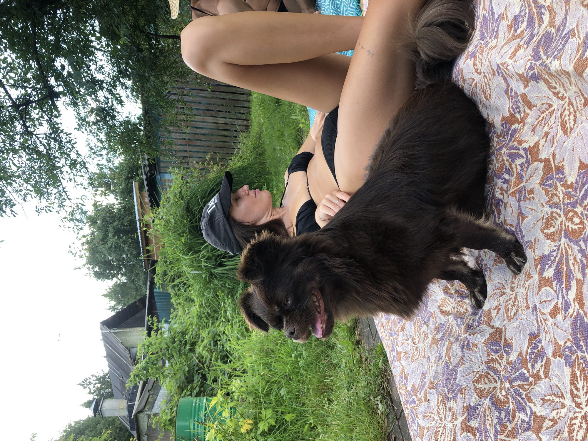 In Красная Пресня Снт, Russia, a medium-sized, fluffy, dark brown dog sits attentively on a patterned blanket in the foreground. Behind the dog, a woman in a black bikini and a black baseball cap reclines, facing away from the camera, with her legs extended. She appears relaxed, with one arm resting on her stomach. The background features lush green foliage, a rustic wooden fence, and elements of a rural property, possibly including a shed or outbuilding. The lighting suggests it is daytime, outdoors, possibly during summer.