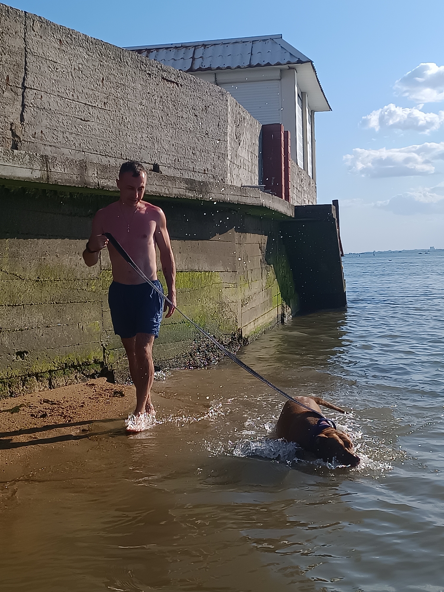 The image depicts a man and a dog at the edge of the sea in Zatoka, Ukraine. The man, shirtless and wearing blue shorts, is walking on a sandy shore and wading into shallow water. He is holding a leash attached to the dog. The dog, a brown Vizsla, is partially submerged in the water, splashing as it moves. Behind them, a large concrete structure runs along the coastline, with a white building visible on top. The sky is clear with a few white clouds, and the sea is calm with gentle ripples. Distant boats can be seen on the horizon.