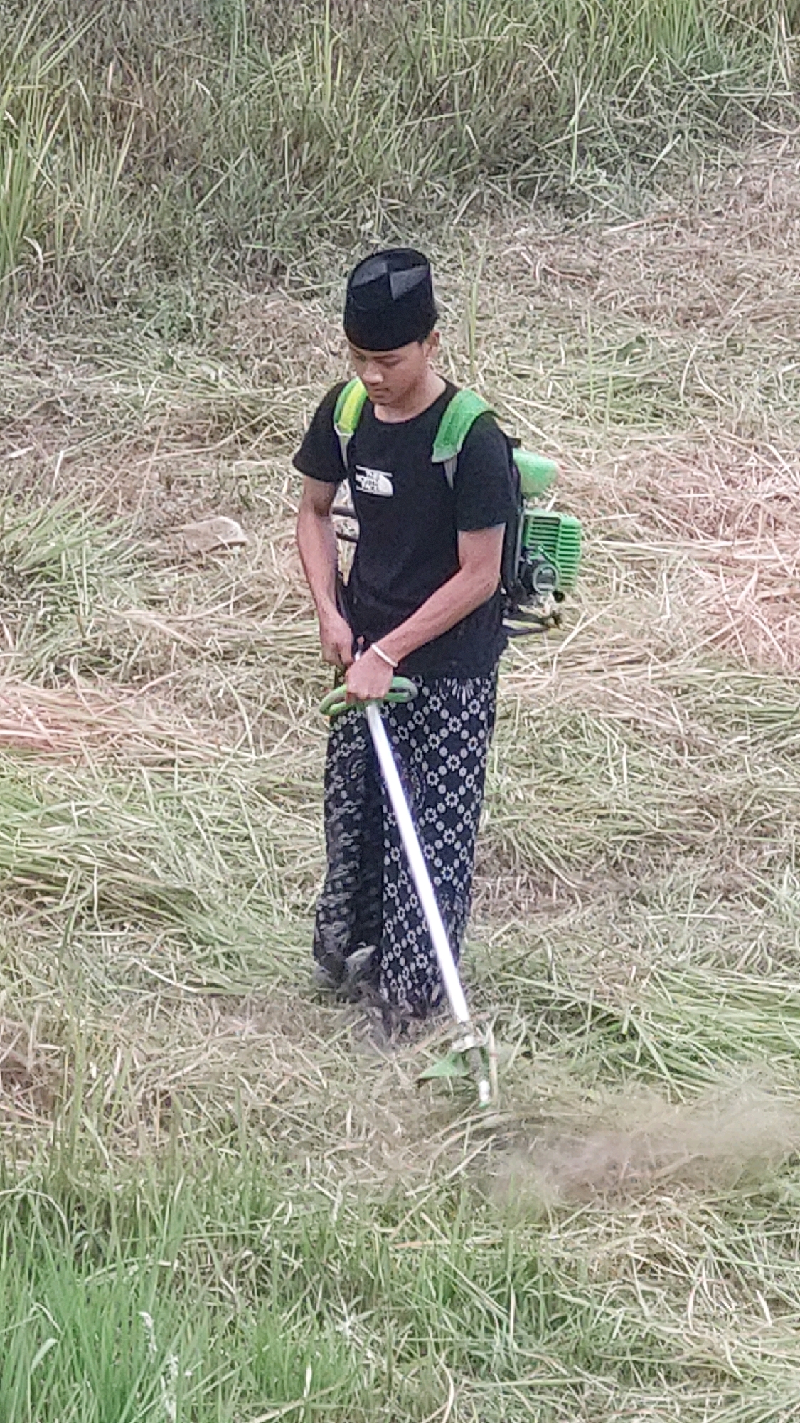 A young person wearing a black beanie, a black t-shirt, and patterned pants is using a string trimmer to cut grass in an outdoor, grassy field. The trimmer has a green backpack unit attached. The person is standing and appears to be in motion, with cut grass being thrown to the right. The environment is predominantly dry and green grass, with some taller, reedy vegetation in the background. The scene is set during the daytime, with natural lighting.