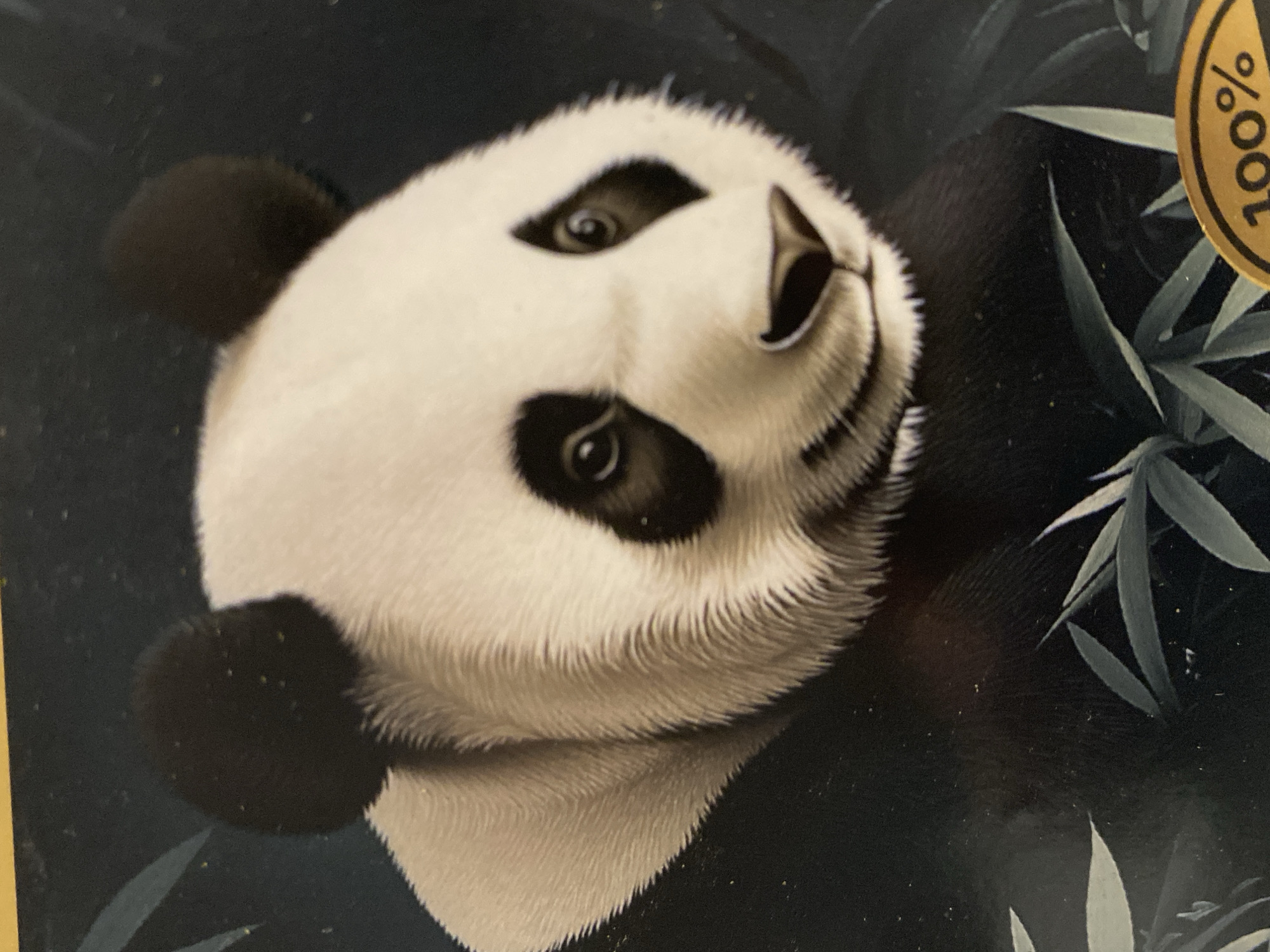 The image shows a close-up of a panda's face. The panda has the characteristic black patches around its eyes and black ears. Its fur is predominantly white around the face and neck. There are some green leaves in the background on the right side. A round gold sticker with the text "100%" is visible in the upper right corner. The background is a dark blue/black color. The image does not contain any information about Sochi, Russia.