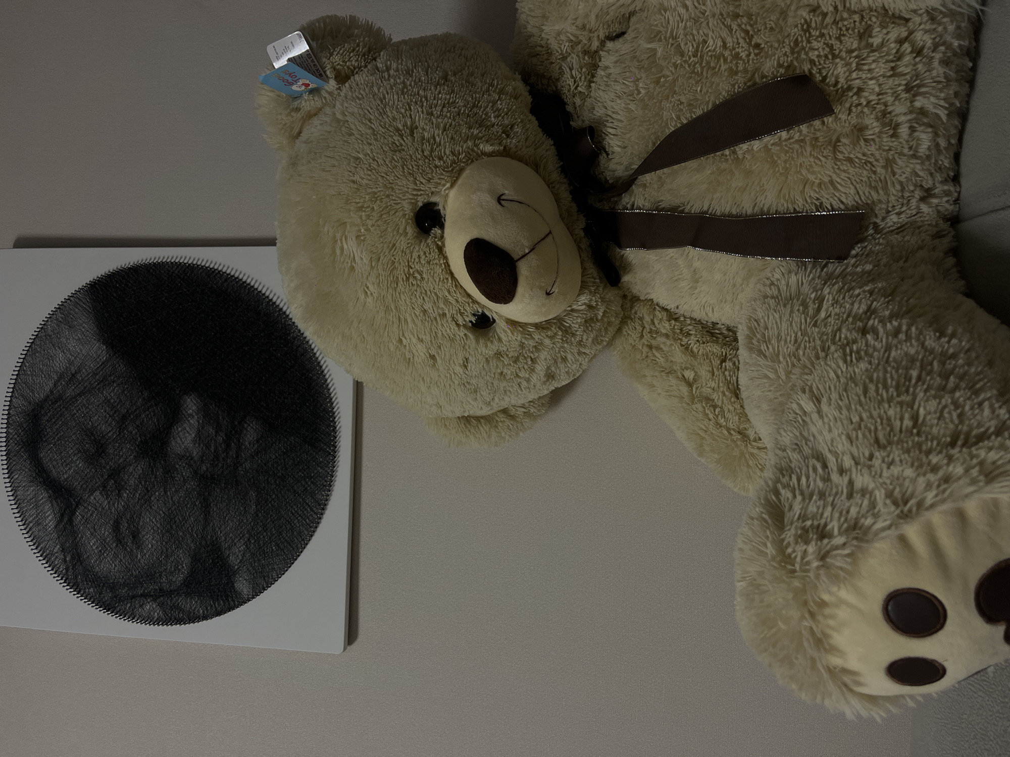 This indoor image, taken in Krasnodar, Russia, features a large teddy bear and a piece of string art displayed against a plain, light gray wall.
The prominent subject is a sizable, light-colored (beige or cream) teddy bear, positioned diagonally across the right side of the frame. Its head is towards the center-left, with dark, round eyes, a brown nose, and a stitched smile. A dark brown ribbon, possibly with a subtle sheen, is tied around its neck or chest. A blue and white tag is visible attached to its left ear, clearly showing the text "Good Toys" and a small red heart logo. The bear's fluffy fur and a padded paw with dark brown circles are visible at the bottom right.
On the left side of the image, a square white canvas or board holds a circular piece of string art. This art is created with black string, forming a dense, intricate pattern within the circle. While the exact design is abstract, it appears to contain darker and lighter areas. The edges of the circle reveal the numerous small pins or nails used to create the string design.
The setting is an indoor space, likely a room, with artificial and somewhat dim lighting. No human subjects, specific activities, or outdoor weather conditions are visible.