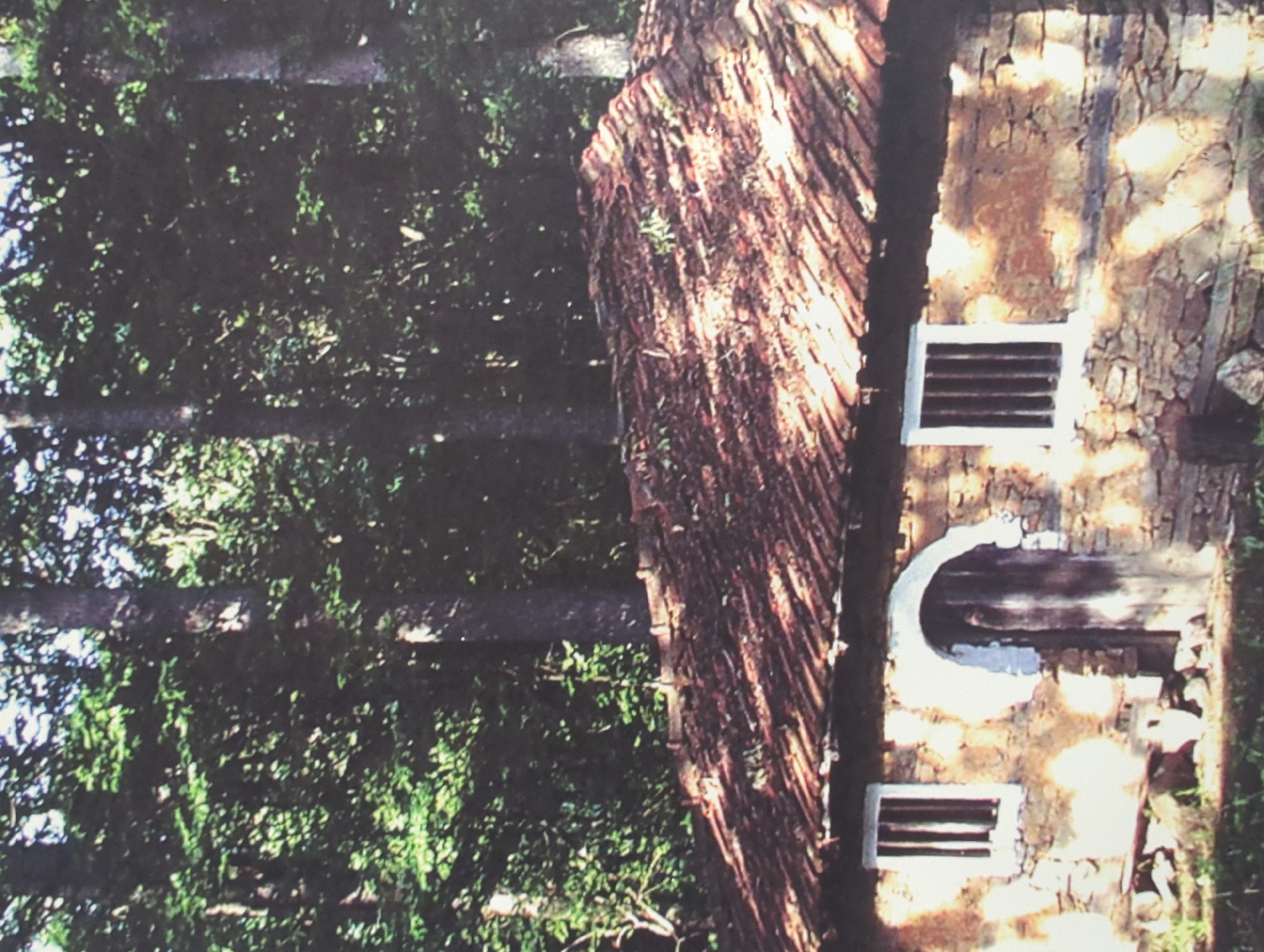 This is a medium shot, eye-level photograph of a rustic, stone-built house nestled in a dense forest. The house has a weathered, red-tiled roof that appears to be covered in moss and debris. There are two windows visible, both rectangular with white frames and bars. The left window is to the left of a dark wooden door, which is set within a white, arched entryway. The walls of the house are constructed from rough, uneven stones and appear to be coated with a rough plaster that is peeling in places. The forest surrounding the house is lush and green, with tall trees and dense foliage that partially obscure the structure. Sunlight filters through the leaves, casting dappled shadows on the house and the ground. The overall impression is one of a remote, secluded dwelling, possibly a traditional Bulgarian rural home in or near Malko Tarnovo.