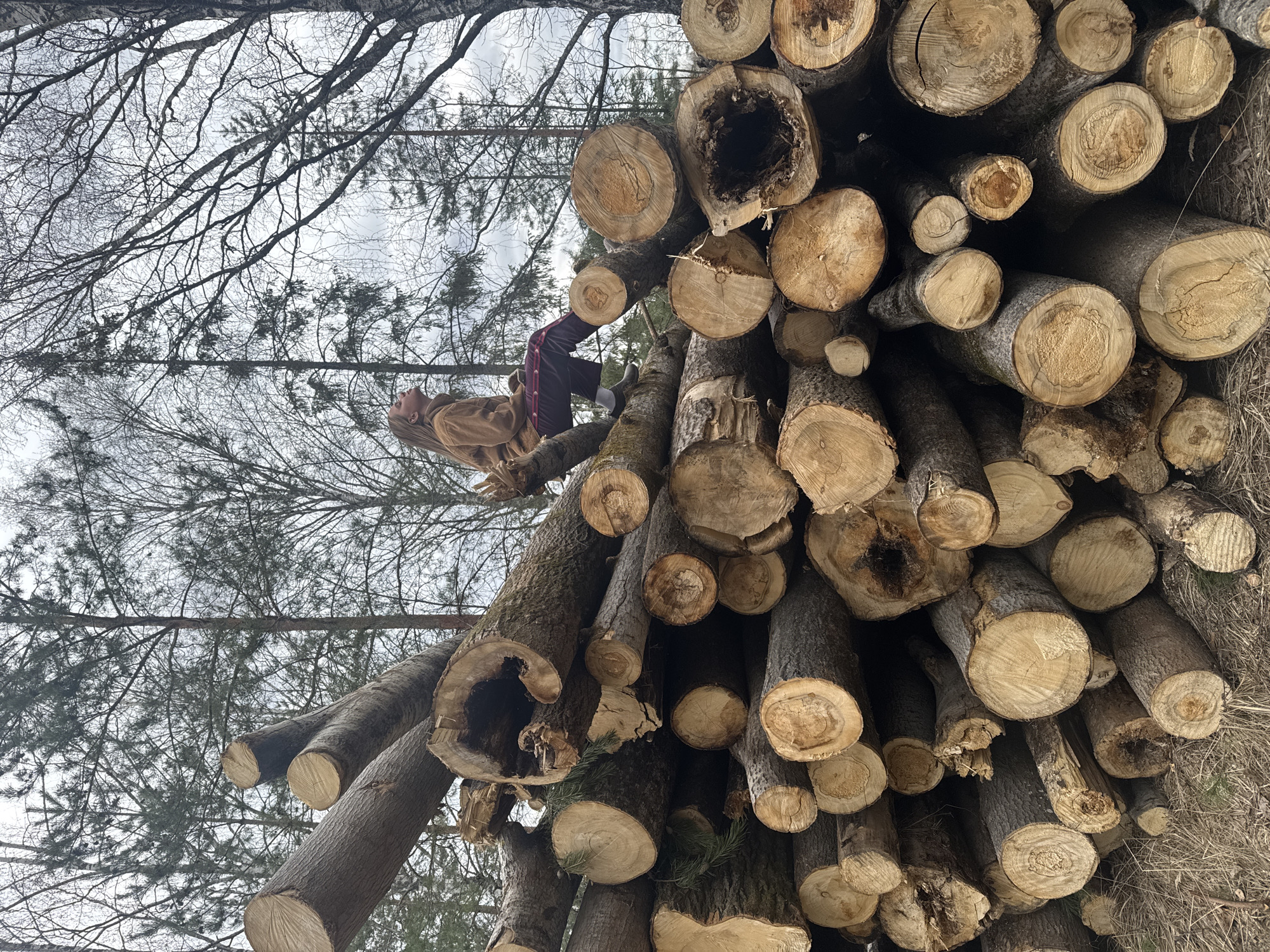 The image shows a pile of stacked logs with a person perched on top of the stack. The logs vary in size and some have hollow centers. The person is wearing a brown jacket and maroon pants with a white stripe. Bare trees and a cloudy sky are visible in the background. The location is Grebnevo, Russia.
