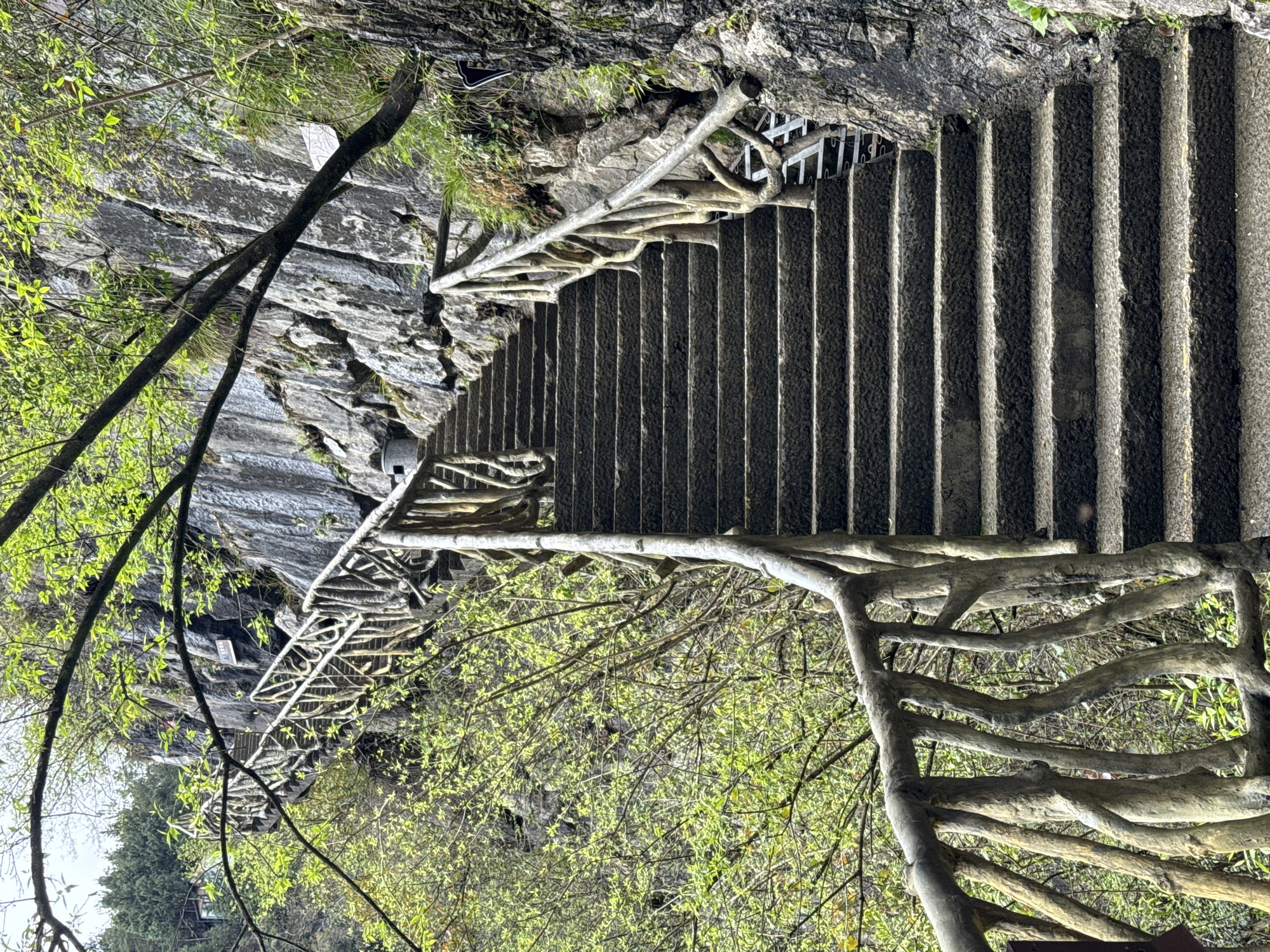 The image shows a long, steep stone staircase with textured, concrete handrails that resemble tree branches. The steps lead down a rocky, wooded area. The staircase is part of the Puhua Ancient Stone Stairway in Qianjiang, China, as indicated by the construction style and environment. The area is lush with greenery, including trees and shrubs. The image is taken from a slightly elevated perspective, looking down the staircase.