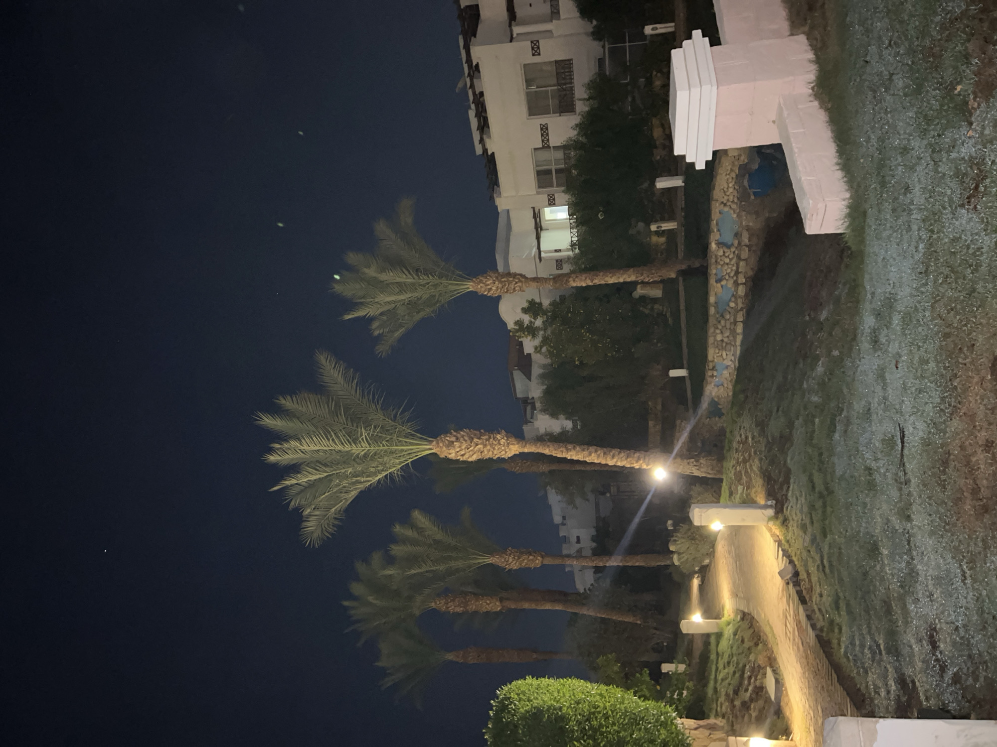 The image depicts an outdoor scene at night, likely a resort or residential area, in Sharm El Sheikh, Egypt. Several tall palm trees are prominent in the foreground and mid-ground. A pathway illuminated by outdoor lights curves through a grassy area. In the background, white buildings with multiple windows and balconies are visible, suggesting a hotel or apartment complex. The sky is dark blue, with a few small bright spots that might be stars or distant lights. The overall atmosphere is serene and well-lit, indicating a managed landscape.