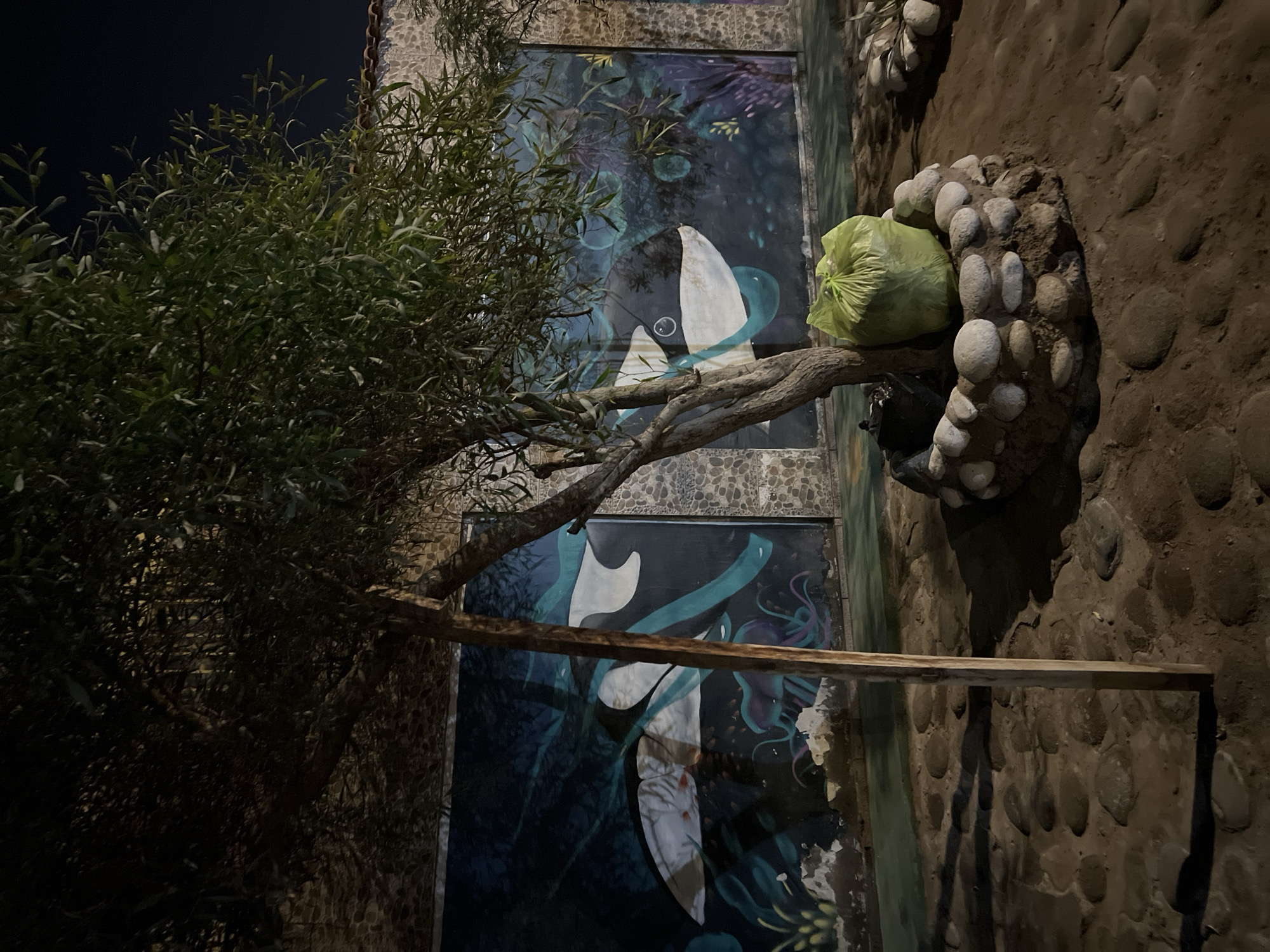 The image depicts a street scene in Arica, Chile, at night. The image is rotated 90 degrees counterclockwise. A tree with dense green foliage stands on the left side. Behind the tree, there is a wall with two framed panels of abstract art with dark blue and teal colors featuring white figures. A bright green plastic bag is seen on the right resting on a structure made of stones. The wall on the right is composed of dark brown stones of varying sizes. A wooden plank extends out from the wall, cutting across the artwork. The sky above is dark.