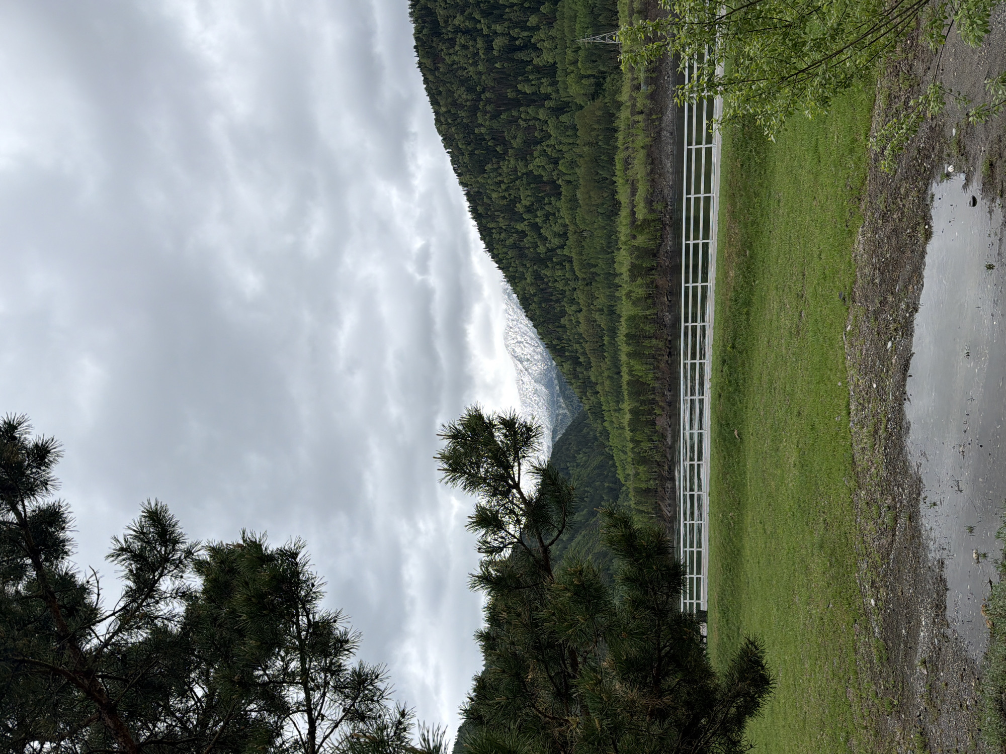 The image presents a natural scene, likely a mountainous area on a cloudy day. A steep, densely forested mountain dominates the background. A white fence runs along the base of the mountain, bordering a grassy area. In the foreground, pine trees obscure part of the view. To the right of the grassy area, there is a muddy patch or small body of water. The cloudy sky suggests overcast weather conditions. There is no information in the image to confirm it is in Cheremushki, Russia.