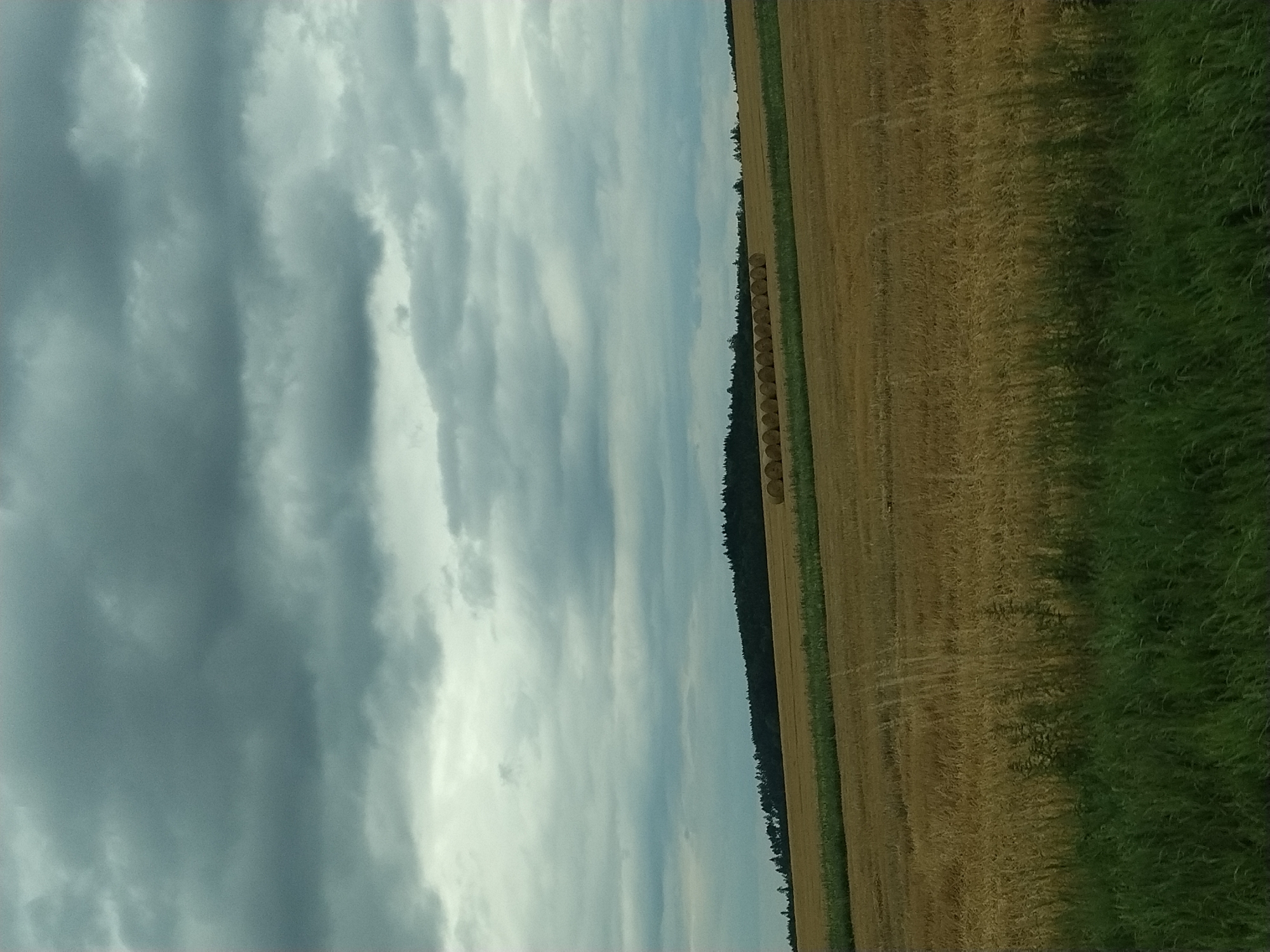 The image depicts a rural scene on a cloudy day, likely in the late afternoon or early evening given the lighting. The sky is filled with dramatic, overcast clouds, casting a muted light over the landscape.
The scene is divided into distinct sections: on the left, the vast expanse of the cloudy sky dominates. To the right, a harvested field of golden hay stretches towards the horizon, with neat rows of hay bales visible along its edge. A dark, dense line of trees borders the field, creating a stark contrast with the lighter hues of the sky and hay. In the foreground on the far right, a strip of vibrant green grass, possibly a meadow or verge, adds another layer of color to the composition.
The overall impression is one of a serene, agricultural setting shortly after harvest. There are no people or animals visible in the image, and no text is present. The weather appears to be on the verge of changing, with the heavy clouds suggesting the possibility of rain. The location is identified as Třešně, Czechia.
