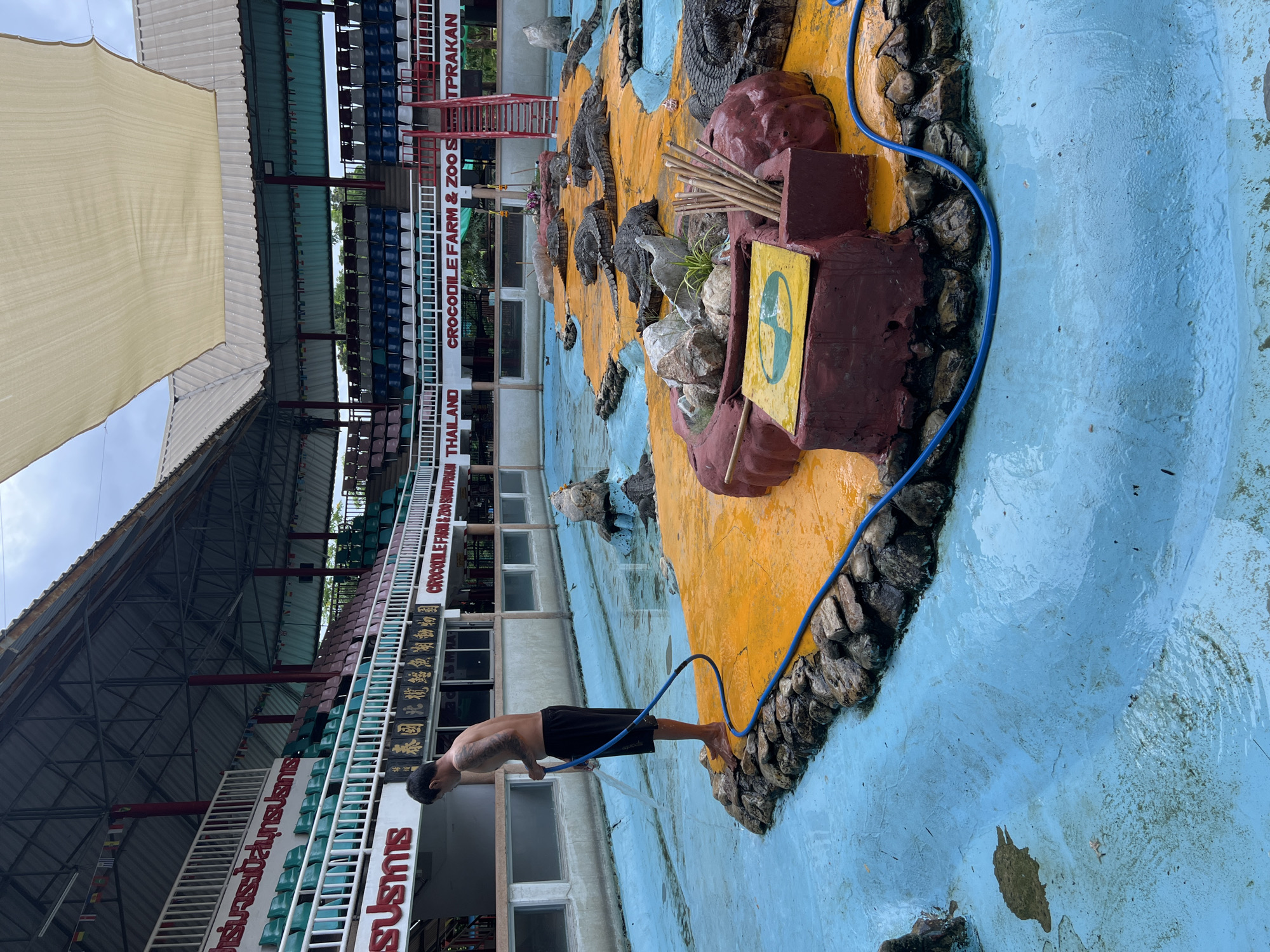 The image depicts an outdoor enclosure with a blue pool and an elevated yellow platform, resembling a stage. Several crocodiles are visible on the yellow platform, some appearing to be basking. A man, shirtless and wearing black shorts, stands on the edge of the platform, holding a blue hose and spraying water into the pool. The background features tiered seating for spectators, indicating an arena or performance venue. Signage in the background identifies the location as "CROCODILE FARM & ZOO S... TTPRAKAN THAILAND." The overall scene suggests a maintenance or cleaning activity taking place at a crocodile farm and zoo attraction in Bang Pu Subdistrict Municipality, Thailand.