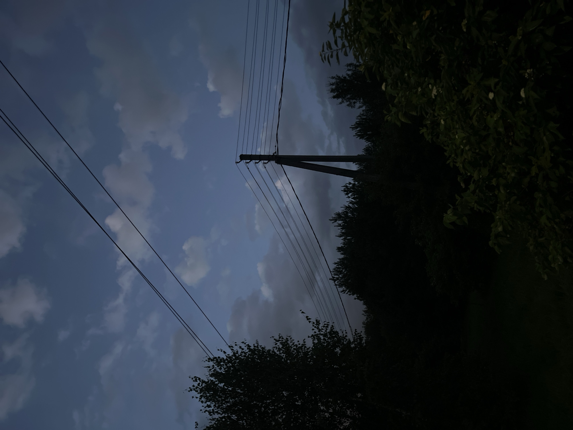 The image depicts a dimly lit, outdoor scene with a focus on a power line pole and wires against a twilight sky. The sky is a deep blue with scattered, dark clouds and some lighter patches, suggesting either the end of the day or an overcast condition. A tall, angled power pole made of concrete stands prominently in the mid-right of the frame, supporting multiple parallel power lines that stretch horizontally across the image.
In the foreground and left side, dark silhouettes of trees and foliage are visible. To the left, a large tree with a dense canopy is silhouetted against the sky. The lower portion of the image is predominantly dark, obscuring finer details of the ground and vegetation. A line of dark, coniferous trees forms a dense background across the middle of the image. The overall impression is one of a rural or suburban edge setting, possibly during dusk.
Without additional information or context, it is impossible to determine the specific location within the city of Vilnius, Lithuania. The scene is a generic depiction of a utility infrastructure element within a natural or semi-natural environment. No people or actions are discernible in the image.