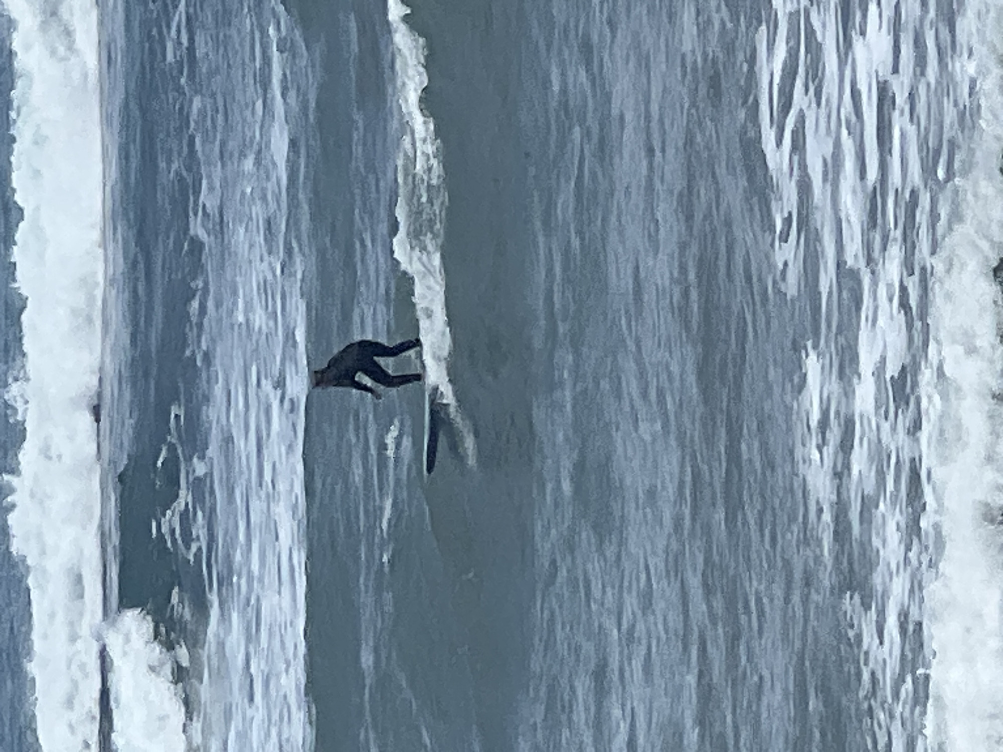 This image, rotated 90 degrees clockwise, depicts a surfer in a dark wetsuit on a surfboard in the open ocean. The surfer is positioned towards the center-left of the frame, appearing to be lying or paddling on their board, with their upper body close to the surface of the water. They seem to be facing towards a large, breaking wave on the right side of the image, which exhibits significant white foam along its crest and face. To the left of the surfer, the water is less turbulent, showing undulating patterns of calmer waves.
The scene is characterized by soft, diffused lighting, suggesting an overcast day or perhaps early morning/late afternoon conditions. The color scheme is dominated by varying shades of blue, grey, and white from the ocean and its foam. The choppy nature of the water and the breaking wave indicate active surf conditions. The image captures a moment of surfing activity in the marine environment of Las Palmas, Spain. No text is visible within the image.