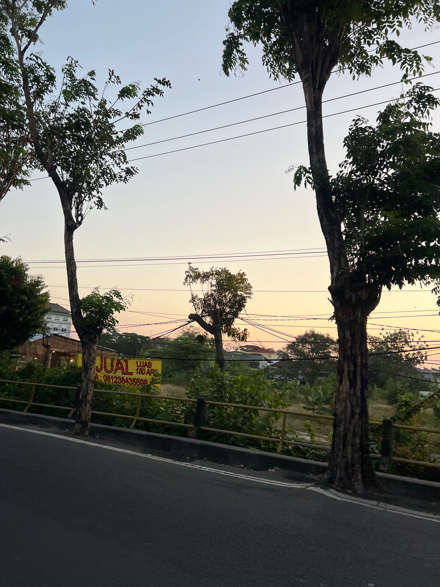 The image depicts a street scene in Kuta, Indonesia, during dusk. The sky transitions from a pale blue at the top to a soft gradient of orange and pink near the horizon. Several power lines stretch across the sky. Two prominent trees with dark bark and green foliage frame the central part of the image.
In the middle ground, a yellow sign with red lettering is visible, reading "JUAL LUAS 150 AR" and "A: 081238435598". This sign indicates a sale, likely of land, with a size of 150 are. Behind the sign and fence, there is dense green vegetation and several buildings, including a multi-story white building on the left. The fence itself is yellow with black posts.
The foreground shows a dark asphalt road with a white double line marking its edge. The road curves slightly to the left. The overall impression is of a typical roadside view in a developing area as evening approaches. There are no people or animals visible in the image.
