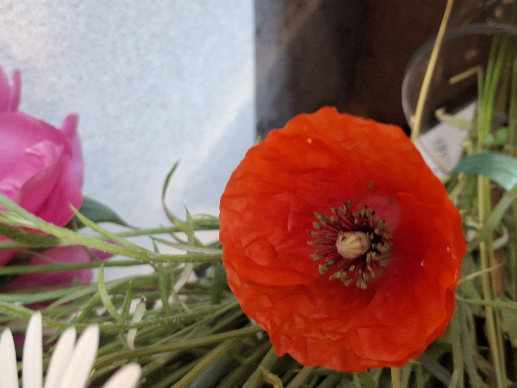 A close-up shot shows a bright red poppy in the foreground. The poppy's petals are soft and delicate, with a slightly ruffled texture. In the center of the flower, there is a cluster of dark stamens surrounding a pale yellow pistil. The poppy is surrounded by green stems and leaves, some of which are out of focus. In the background, a blurry pink flower and a white speckled surface are visible, suggesting it may be a bouquet of flowers arranged indoors. The overall lighting is soft and natural, creating a gentle atmosphere. The image was taken in Lēdmane, Latvia.