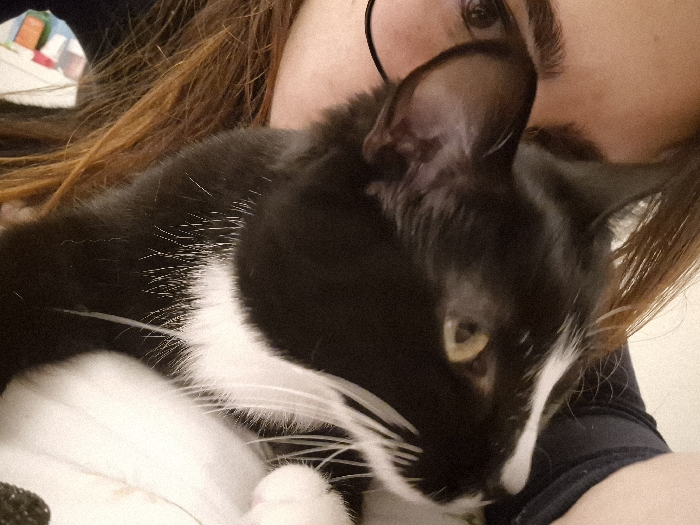 A close-up shot depicts a person holding a black and white cat. The cat's head is prominent, featuring one visible yellow eye and long white whiskers. The person wears glasses and has brown hair. Part of their arm and shirt are visible. The cat rests against the person's chest. A few items are visible on a surface behind the pair.