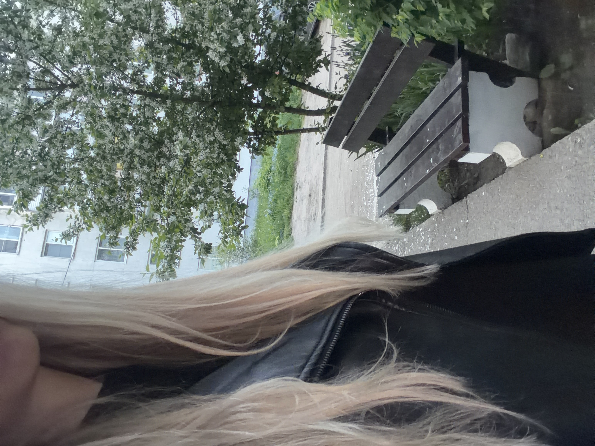 A first-person, medium shot depicts a person with blonde hair and a black leather jacket outside in what appears to be a park. In the background, there is a bench, sidewalk, a tree with white blossoms, and a building.