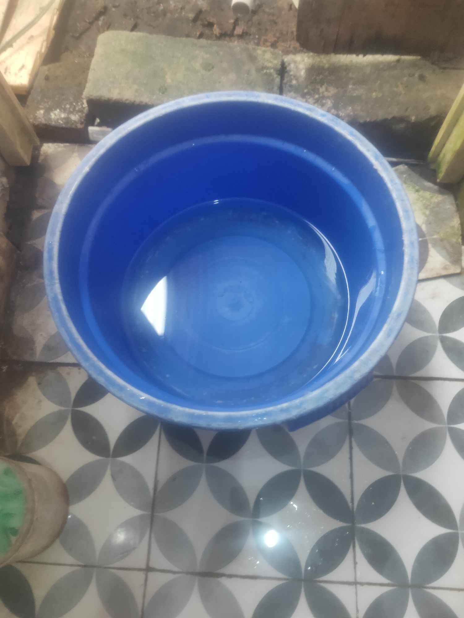 A blue plastic basin filled with water sits on a tiled floor. The basin is the central subject, with its rim visible. The water inside reflects light, creating bright highlights. The surrounding area shows a mix of earthy ground, some green mossy stones, and wooden elements. The floor has a distinctive pattern of interlocking circular shapes in grey and white. A portion of a small beige container with green contents is visible on the left side of the frame. The scene appears to be outdoors, possibly in a courtyard or backyard area. The location is described as Antirogo, Indonesia, though this specific visual information cannot be confirmed from the image alone.