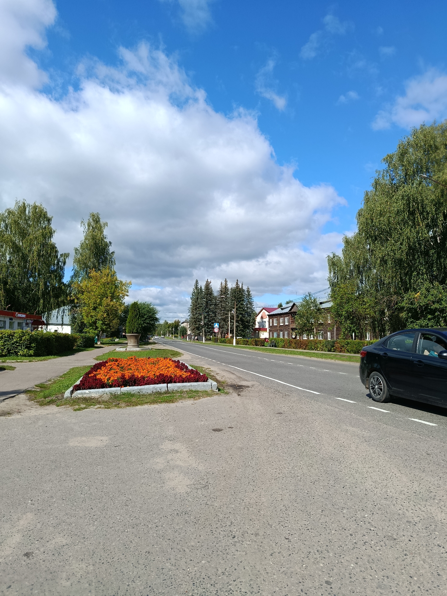 This image captures a street scene in Verea, Russia, under a bright blue sky with scattered white clouds. The foreground is dominated by an asphalt road with white lane markings. To the left of the road, a sidewalk is visible, bordered by a large rectangular flowerbed filled with orange and red flowers. Beyond the flowerbed, a low green hedge lines the sidewalk, leading to a building with a red sign that appears to be a shop. Several tall, leafy trees, including birch trees, are interspersed along the sidewalk and further down the street.
On the right side of the road, a black sedan is driving away from the camera. The background features a row of buildings, primarily wooden houses with white window frames, and dense green trees, including tall pine trees. A sign with a red circle and a number 20 is visible on the right side of the road, indicating a speed limit. The overall impression is a calm, sunny day in a residential or semi-commercial area of the town.