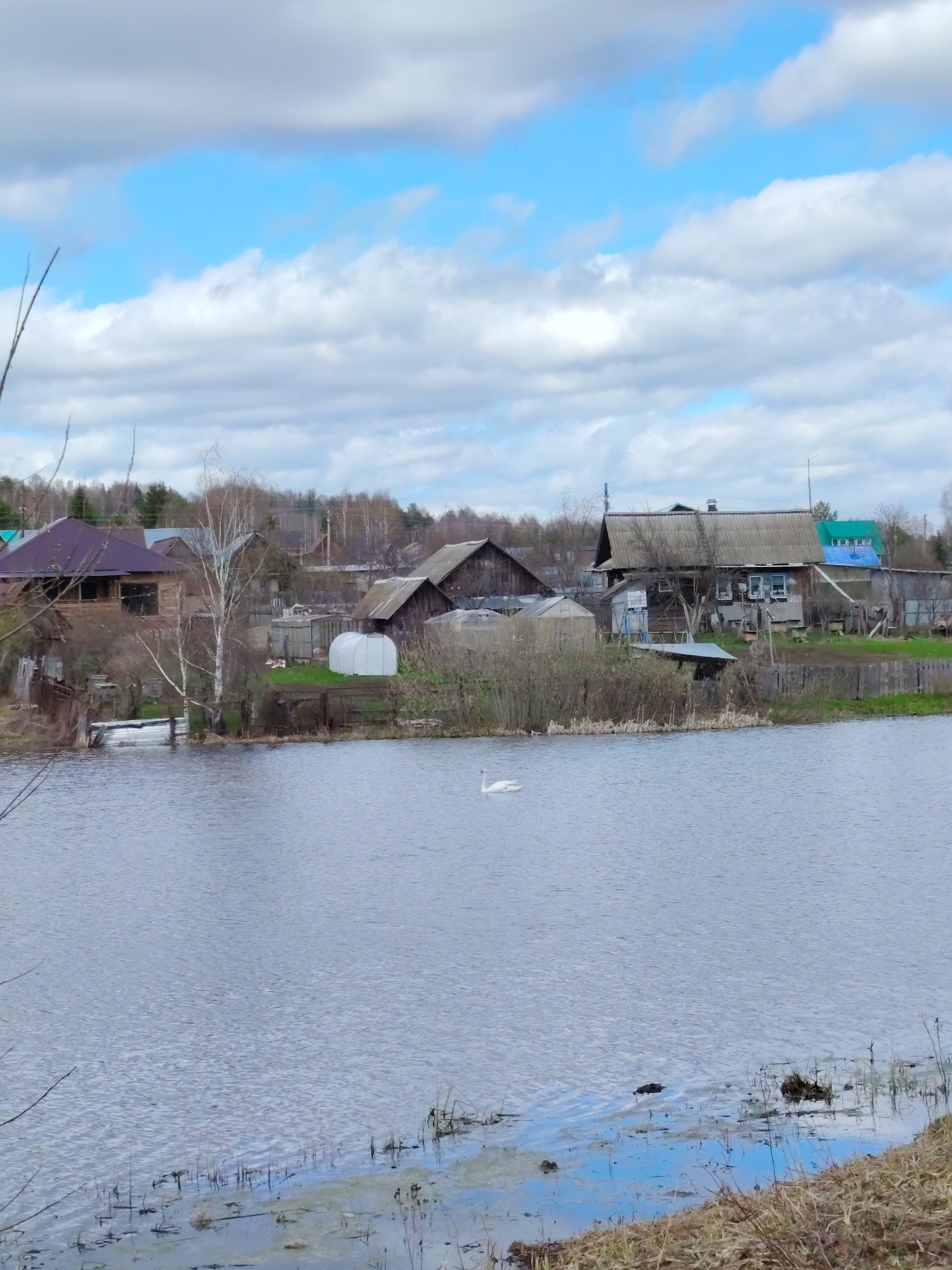 The image shows a rural scene with a body of water in the foreground. On the far side of the water is a row of houses and outbuildings. A single white swan is swimming in the water. The sky is blue with scattered clouds. The environment is indicative of a countryside or village location, but the specific city or region is not identifiable from the image. The image is a static scene with no discernible actions or interactions taking place.
