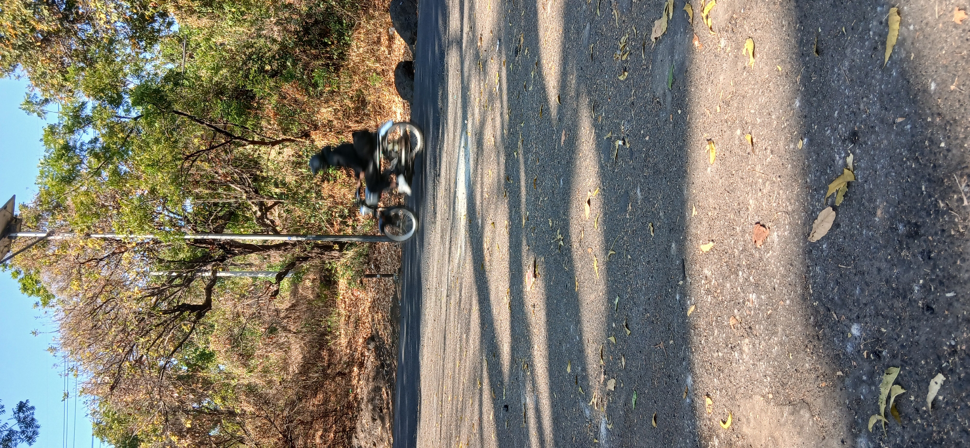 A person in dark clothing on a motorcycle is captured in motion blur on a paved road, with trees and vegetation lining the background. The road surface is asphalt, with scattered dry leaves and dappled sunlight creating a pattern of shadows. A street lamp with a solar panel is visible on the right side of the image. The scene appears to be an outdoor setting, potentially on a road in Banyuglugur, Indonesia, given the surrounding foliage.