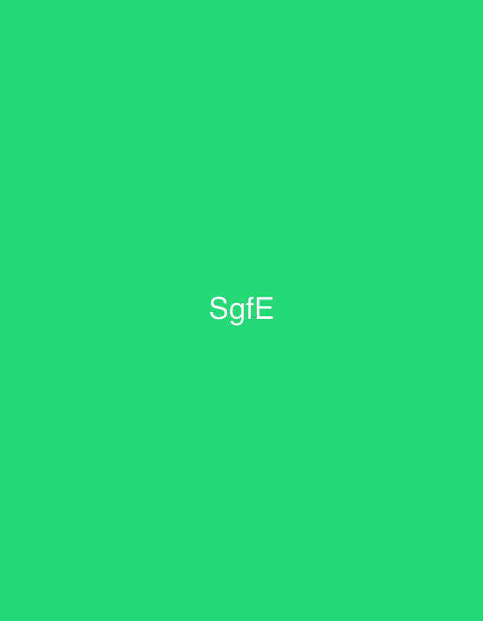 The image presents a plain, uniform background rendered in a vibrant medium green color. Centrally positioned on this green field is the white, sans-serif text "SgfE," with the letters 'S' and 'E' capitalized and 'g' and 'f' in lowercase. No other subjects, objects, people, actions, or interactive elements are depicted within the visual frame. This graphic representation is contextualized as an element located within the city of Casablanca, Morocco.