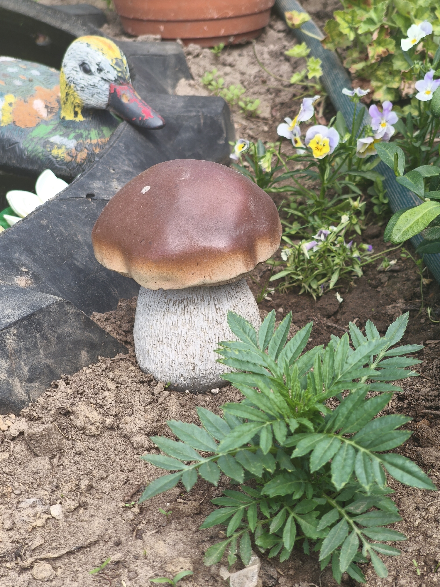 The image shows a garden scene. In the foreground, a decorative ceramic mushroom with a brown cap and a textured white stem sits on the soil. To the right of the mushroom, a marigold plant with feathery green leaves is visible. In the background, a colorful, painted garden duck statue is partially visible on the left, with its beak pointed to the right. Behind the duck and the mushroom, a garden hose and several small purple and white pansies are growing in the dirt. A terracotta pot is also present in the upper background. The scene appears to be outdoors, with soil and plants characteristic of a garden. The location is specified as Kady, Russia.
