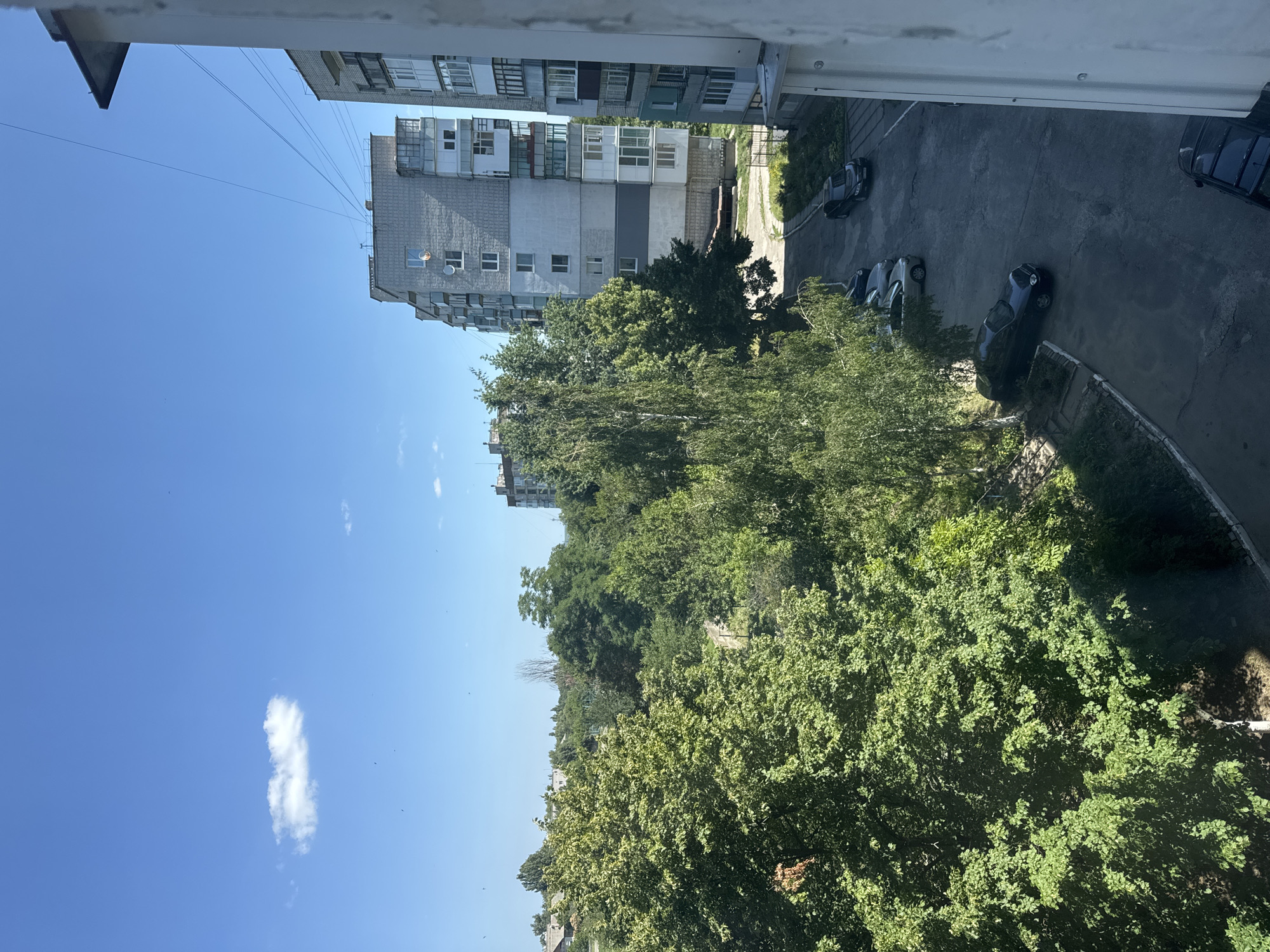 The image depicts a view from a window overlooking an urban courtyard in Svitlovodsk, Ukraine, on a clear, sunny day. Dominating the scene is a dense canopy of lush green trees. Beyond the trees, several multi-story apartment buildings, characteristic of Soviet-era architecture, are visible. These buildings are primarily light gray and feature numerous balconies and windows.
In the courtyard below, a paved area serves as a parking lot, with several cars parked. These include a dark-colored sedan in the foreground, a silver sedan, a light-colored sedan, and two darker sedans parked further back. The ground is cracked and weathered asphalt, with patches of grass and vegetation growing through. The sky is a vibrant blue with a single, small white cloud. Power lines crisscross the upper portion of the image. The perspective suggests the photo was taken from an upper floor of a building. There are no people visible in the frame.